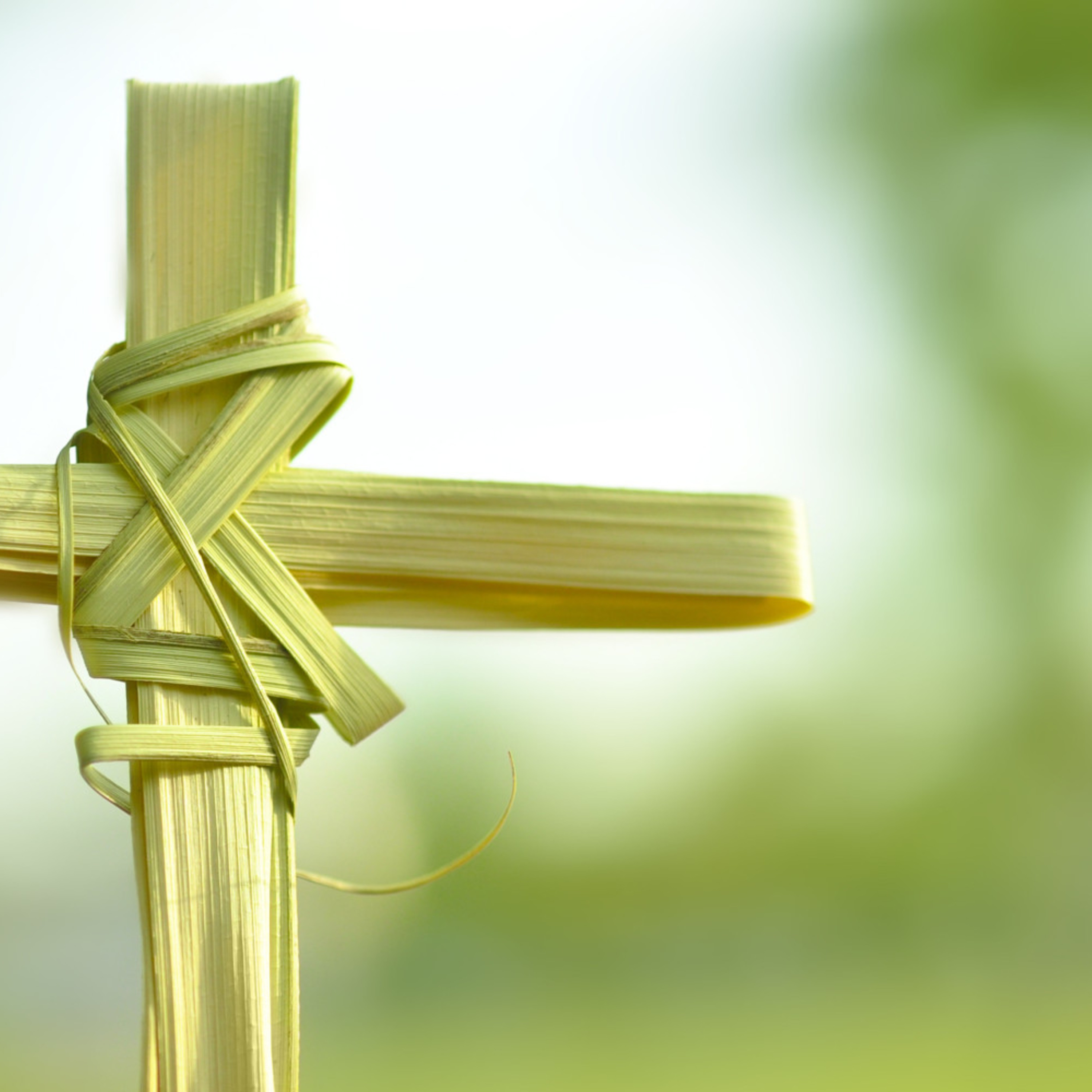 CF of Elizabeth Sunday Teachings