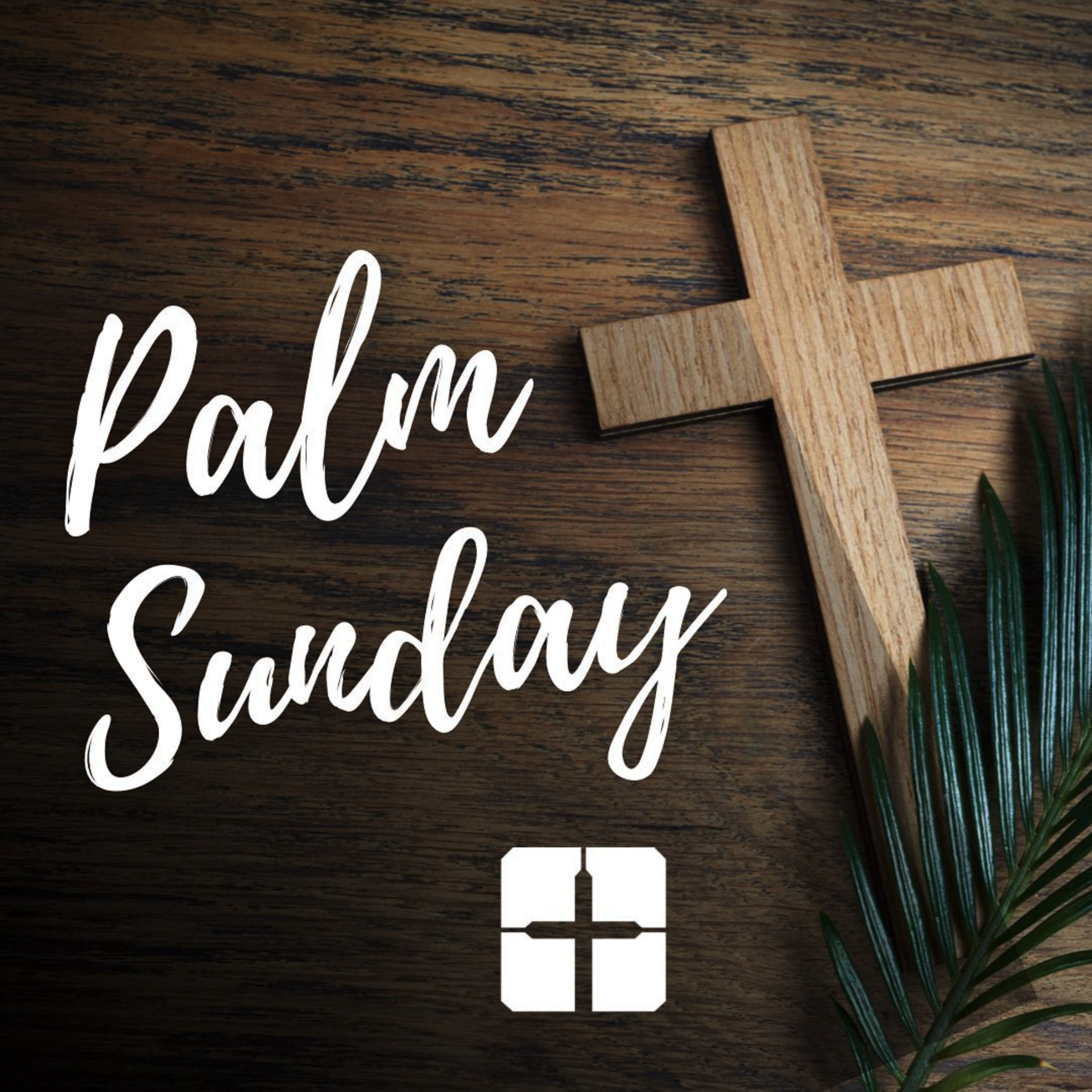 CF of Elizabeth Sunday Teachings