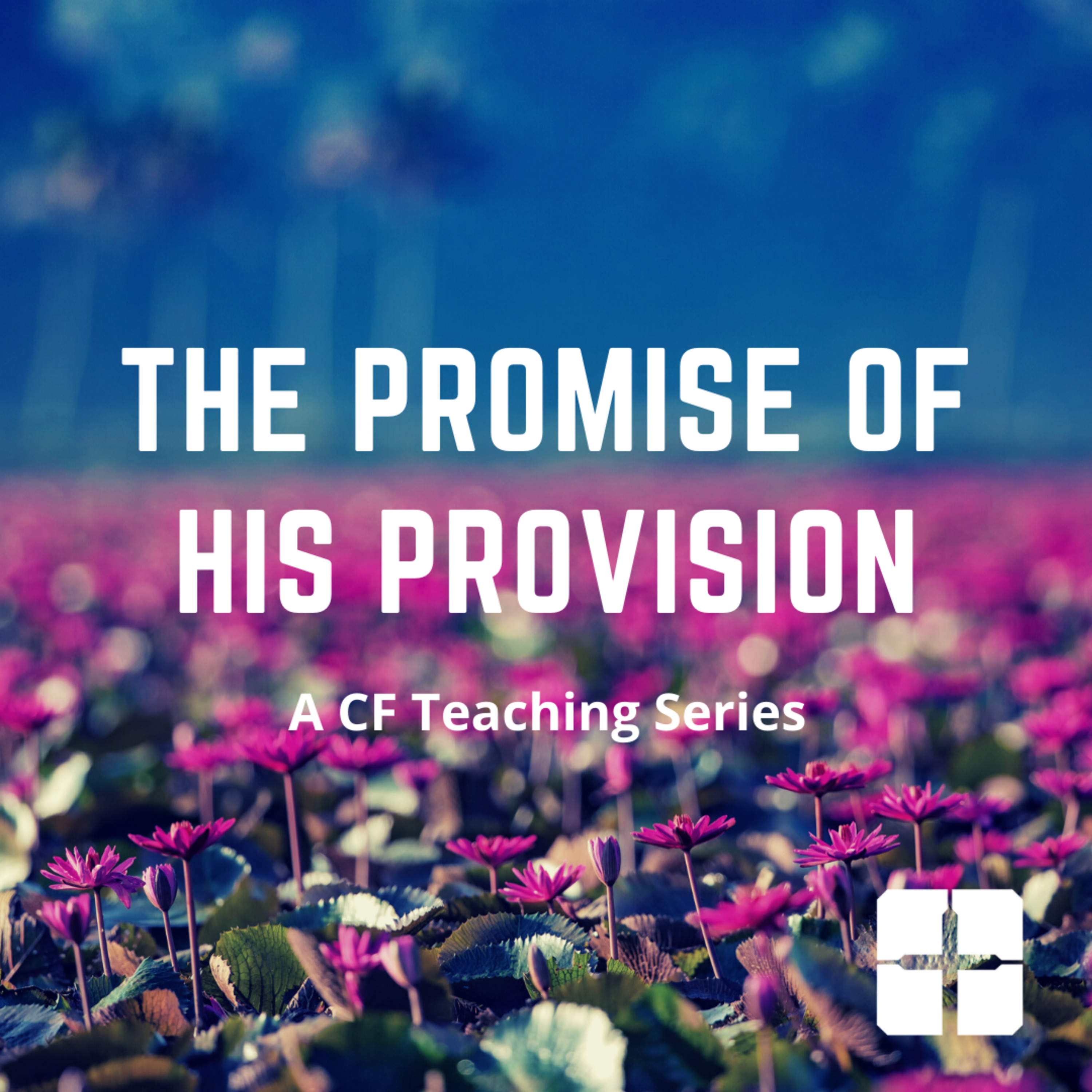 CF of Elizabeth Sunday Teachings