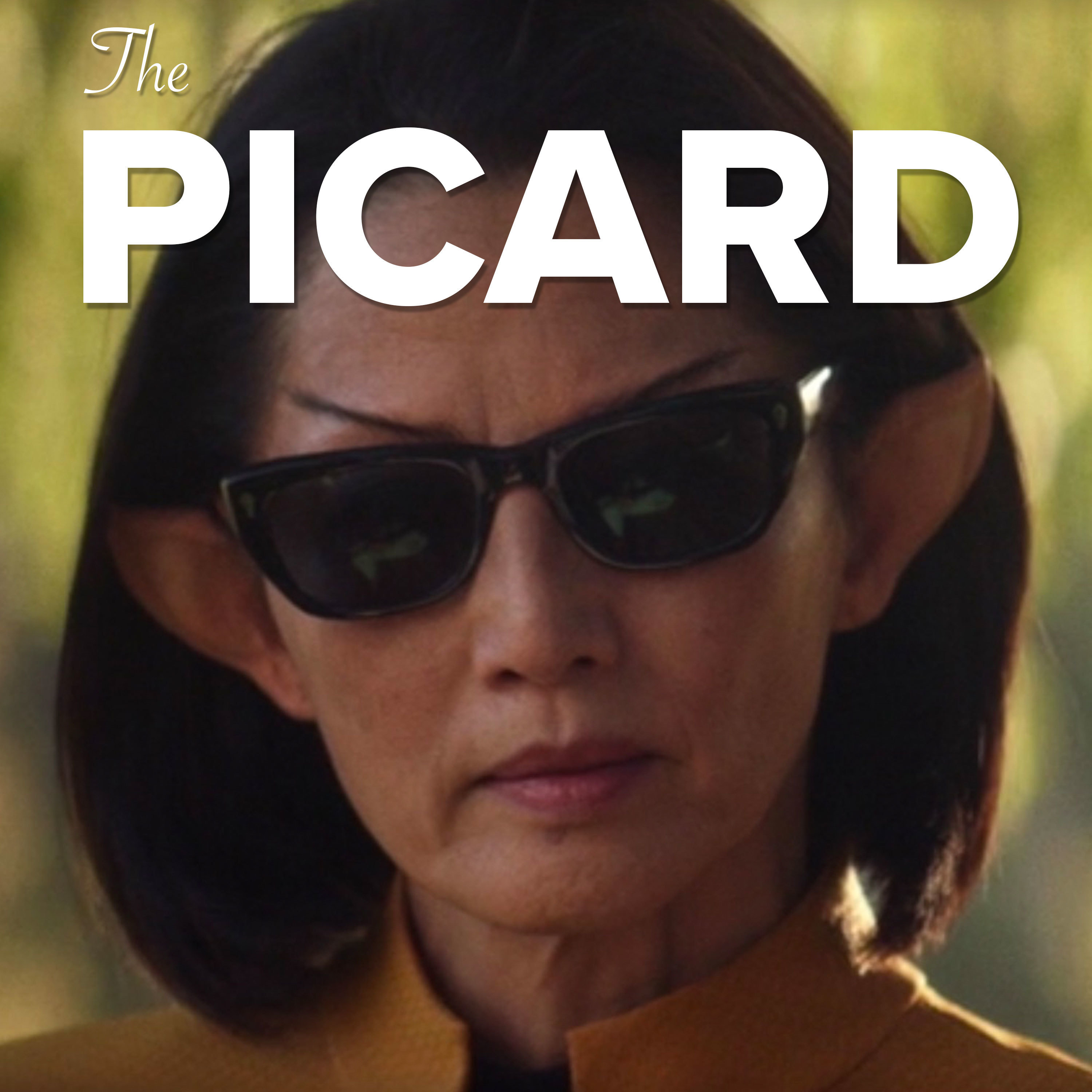 The Picard