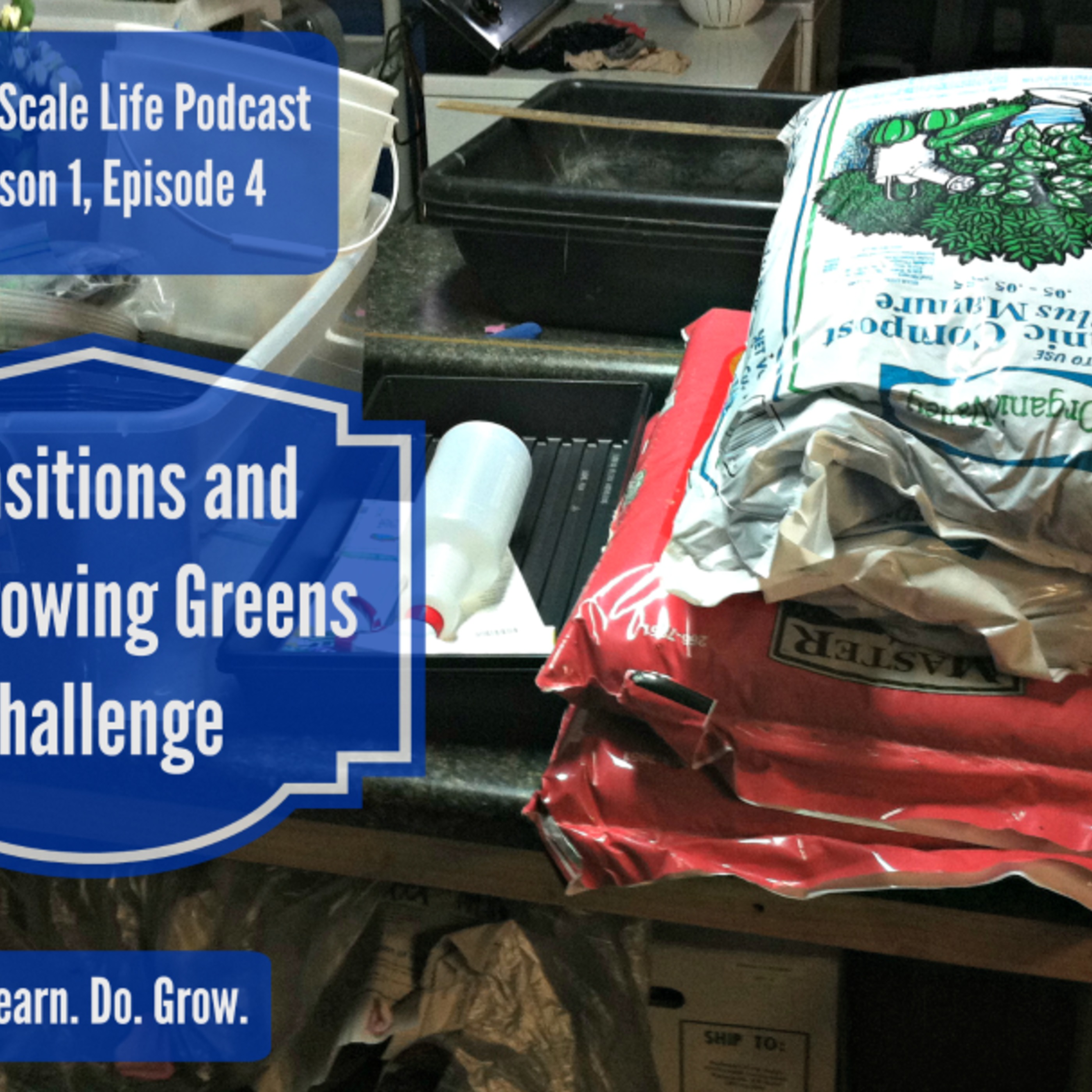 Transitions and The Growing Greens Challenge