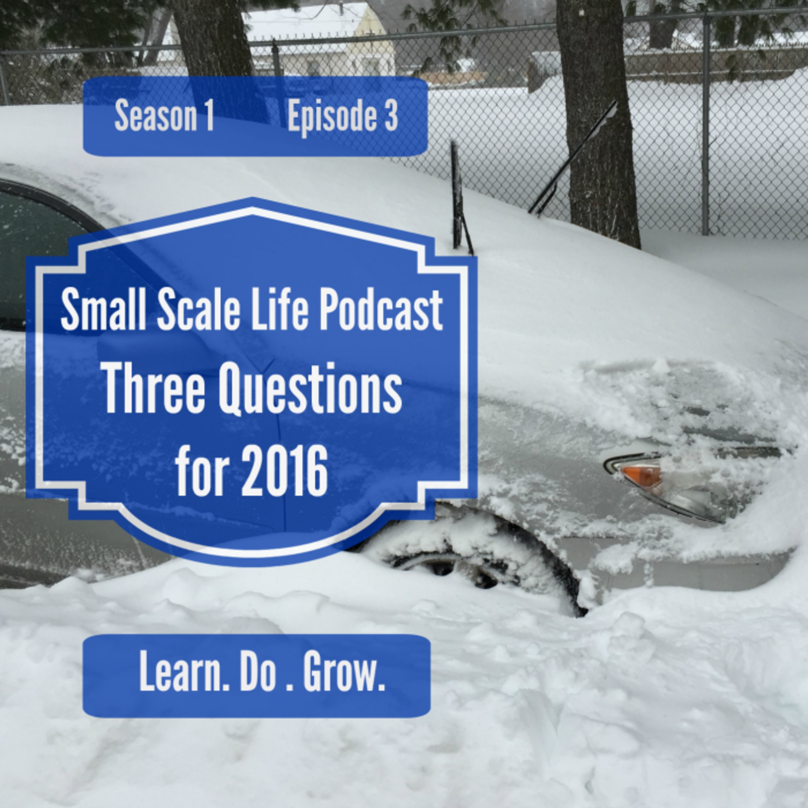 Three Questions for 2016