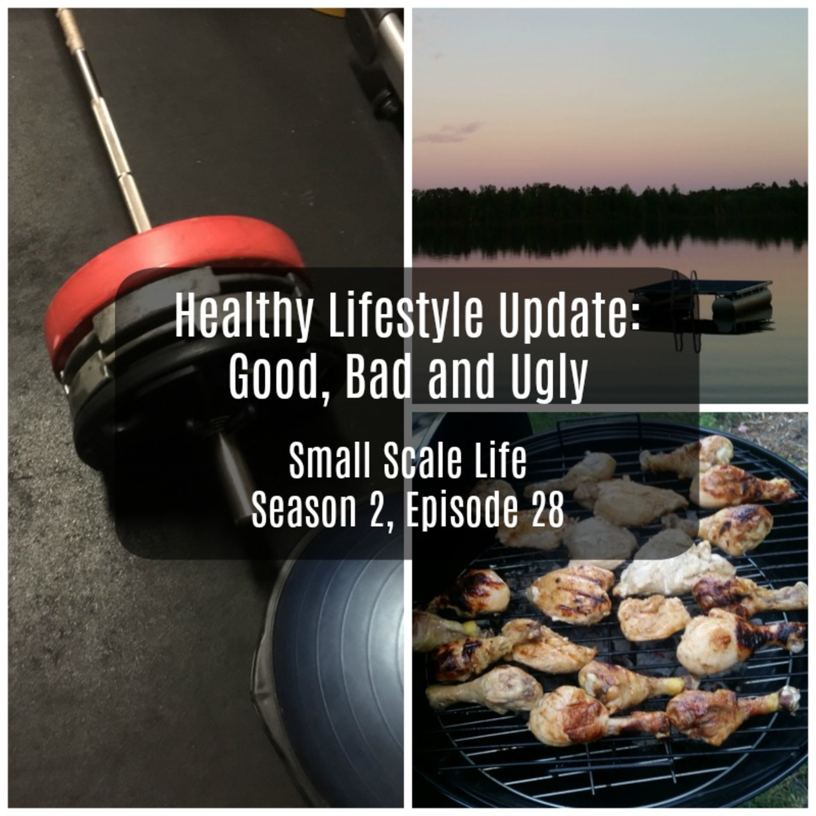 Small Scale Life Podcast