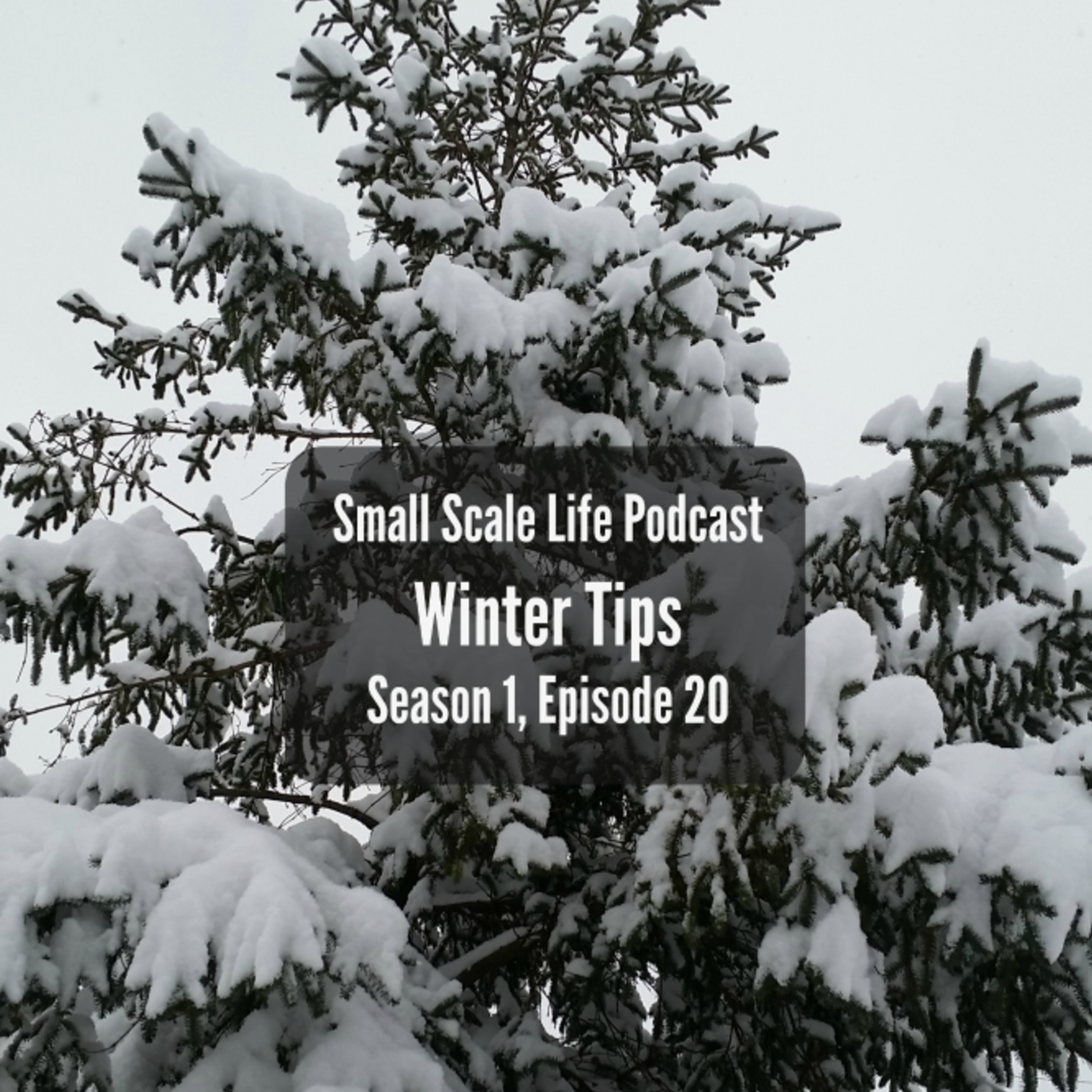 Winter Tips - S1E20