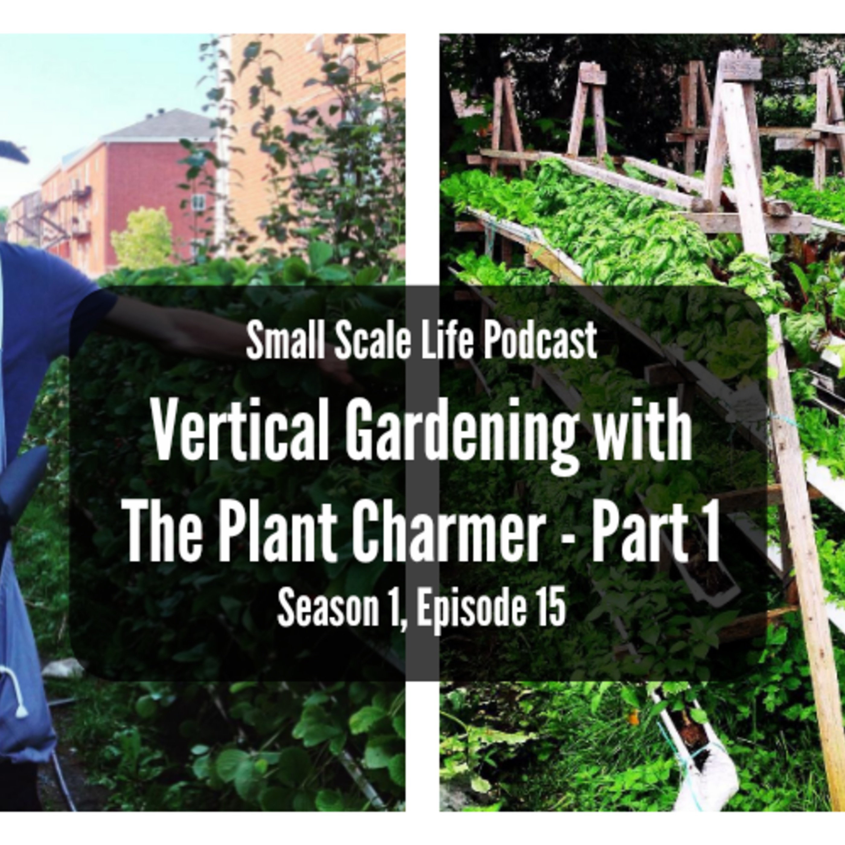 Small Scale Life Podcast