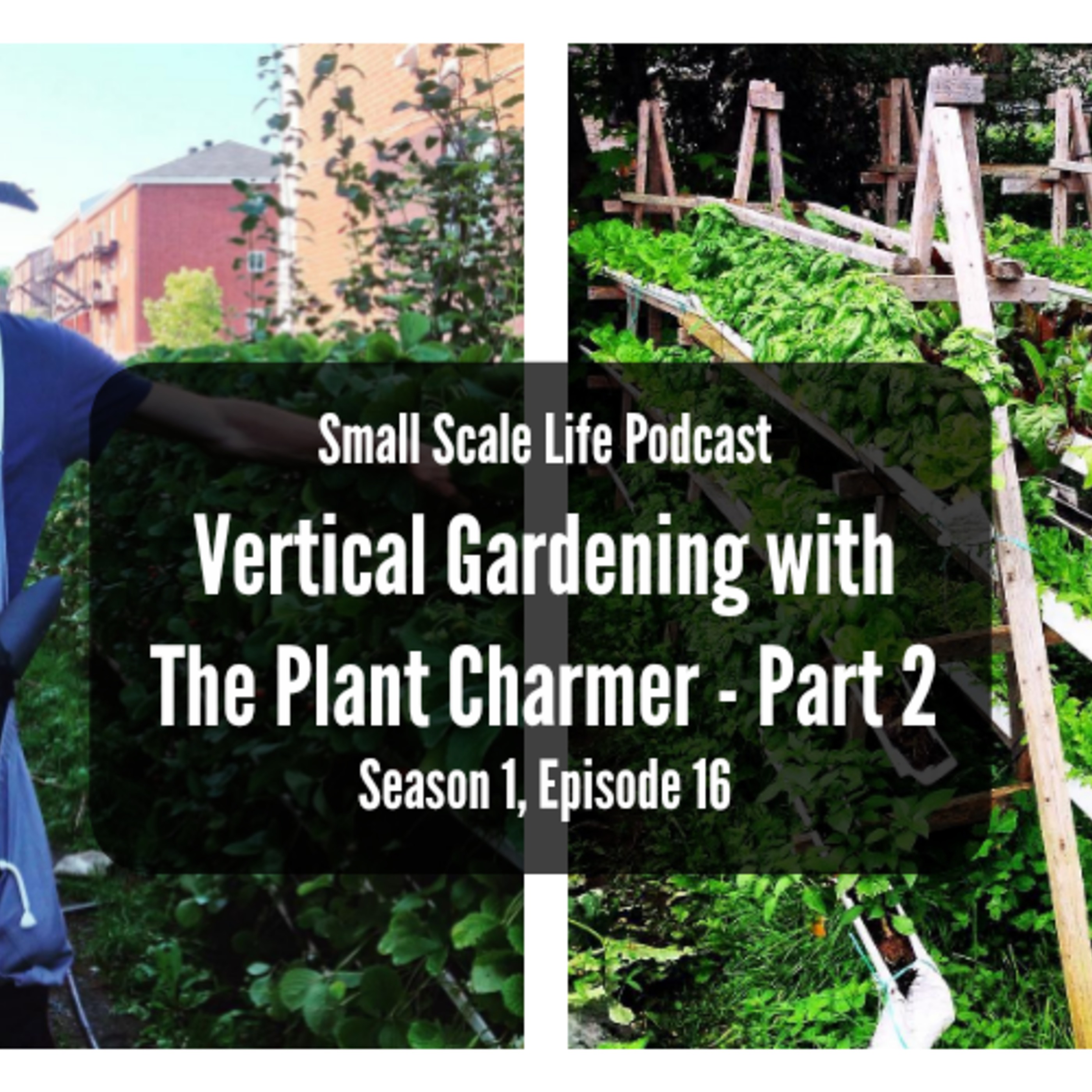 Small Scale Life Podcast