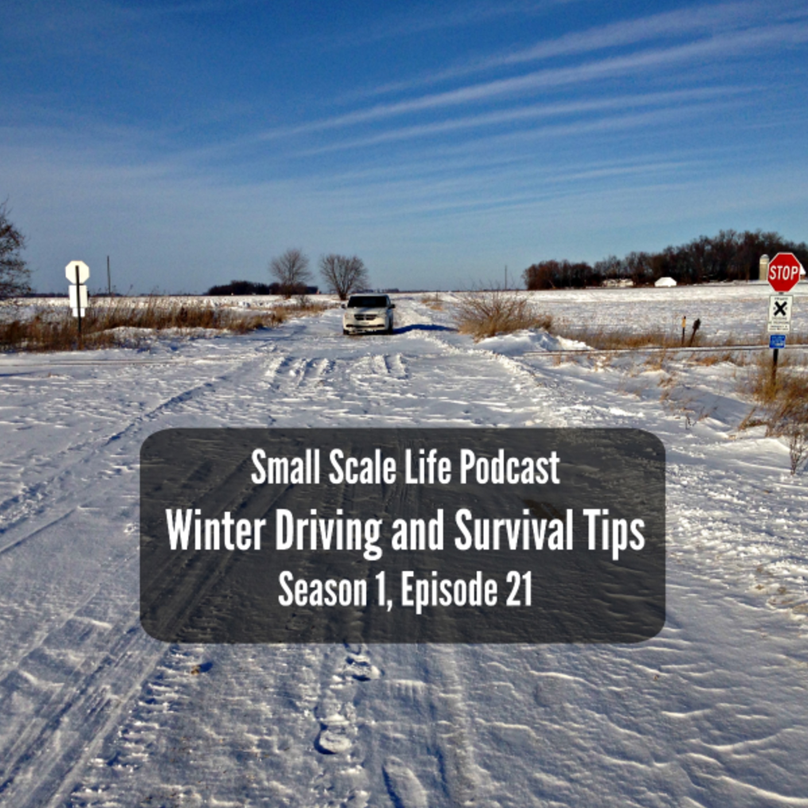 Small Scale Life Podcast