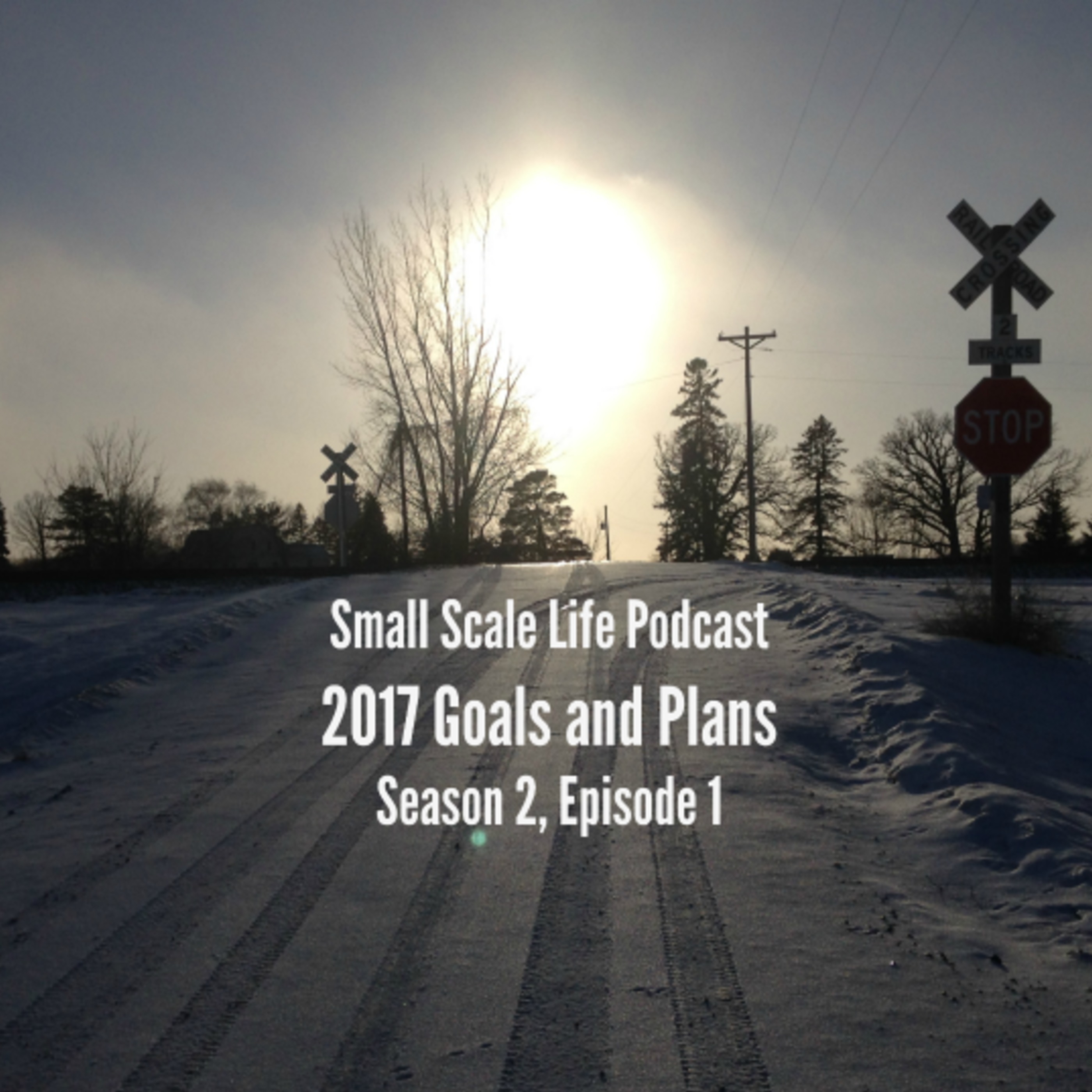 Small Scale Life Podcast