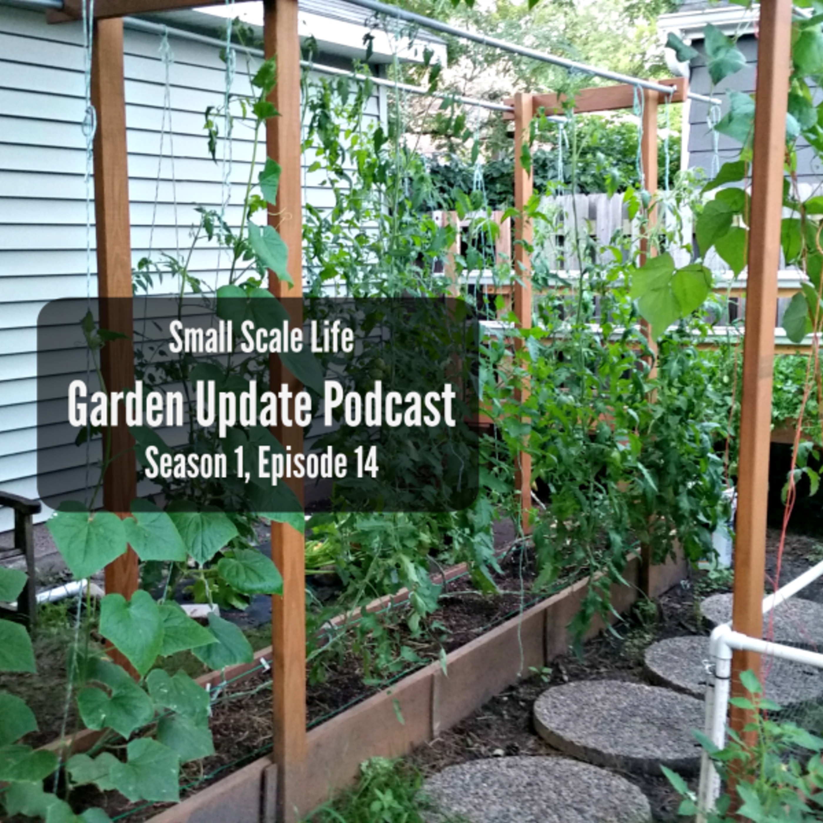 Garden Update Podcast - Week of 8/15/16