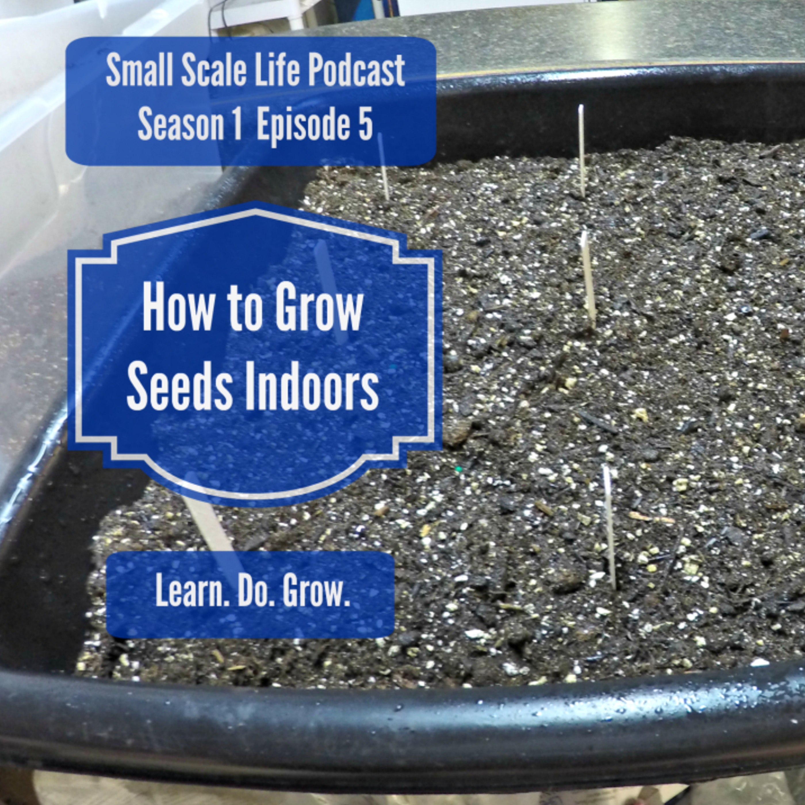 Small Scale Life Podcast