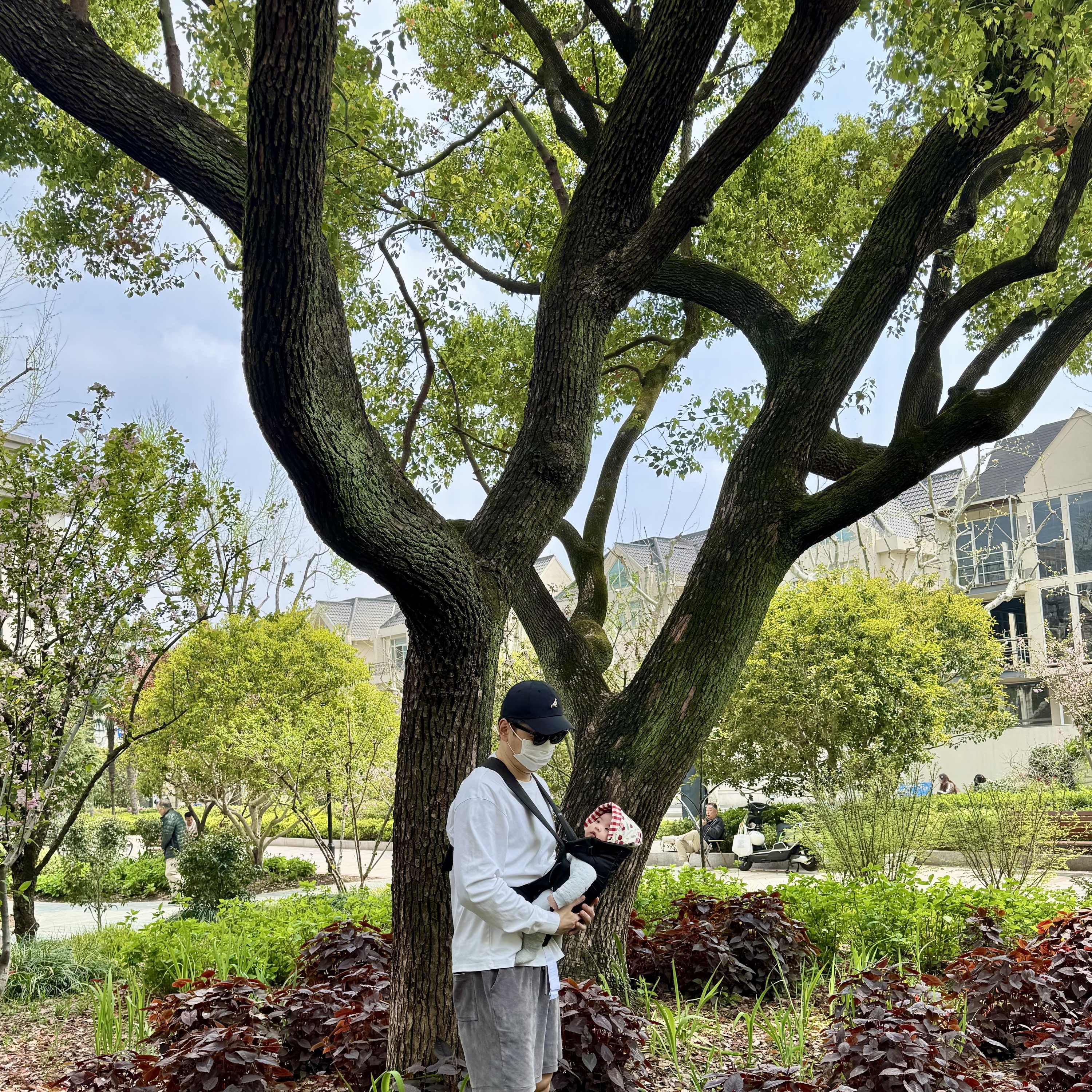 史蒂夫说459期 - 心理科普:为什么40多岁做心理咨询,回报远高于20岁 episode artwork