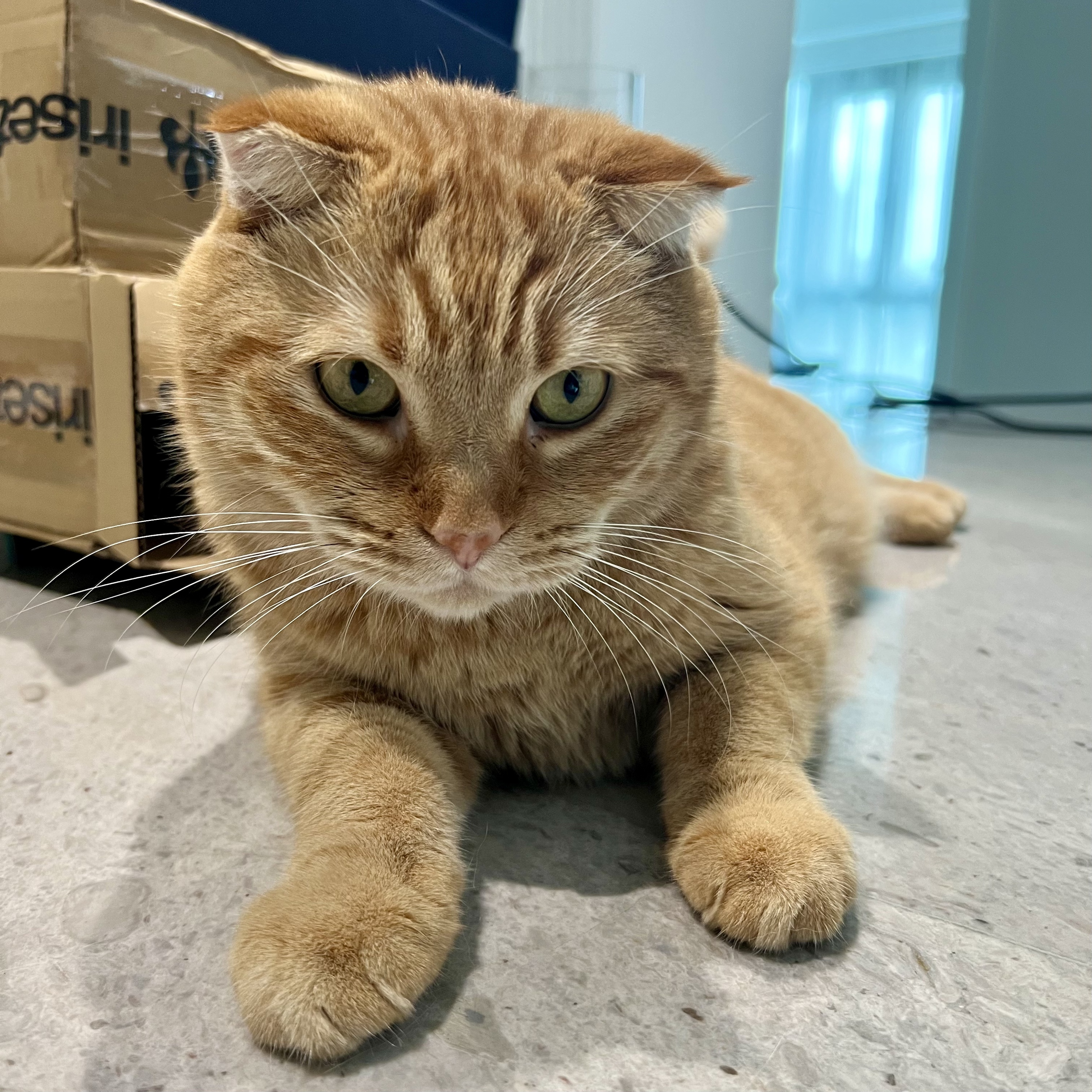 史蒂夫说434期 - 回信:当我们迷恋他人时,其实是渴望活出自己 史蒂夫说434期 - 回信:当我们迷恋他人时,其实是渴望活出自己