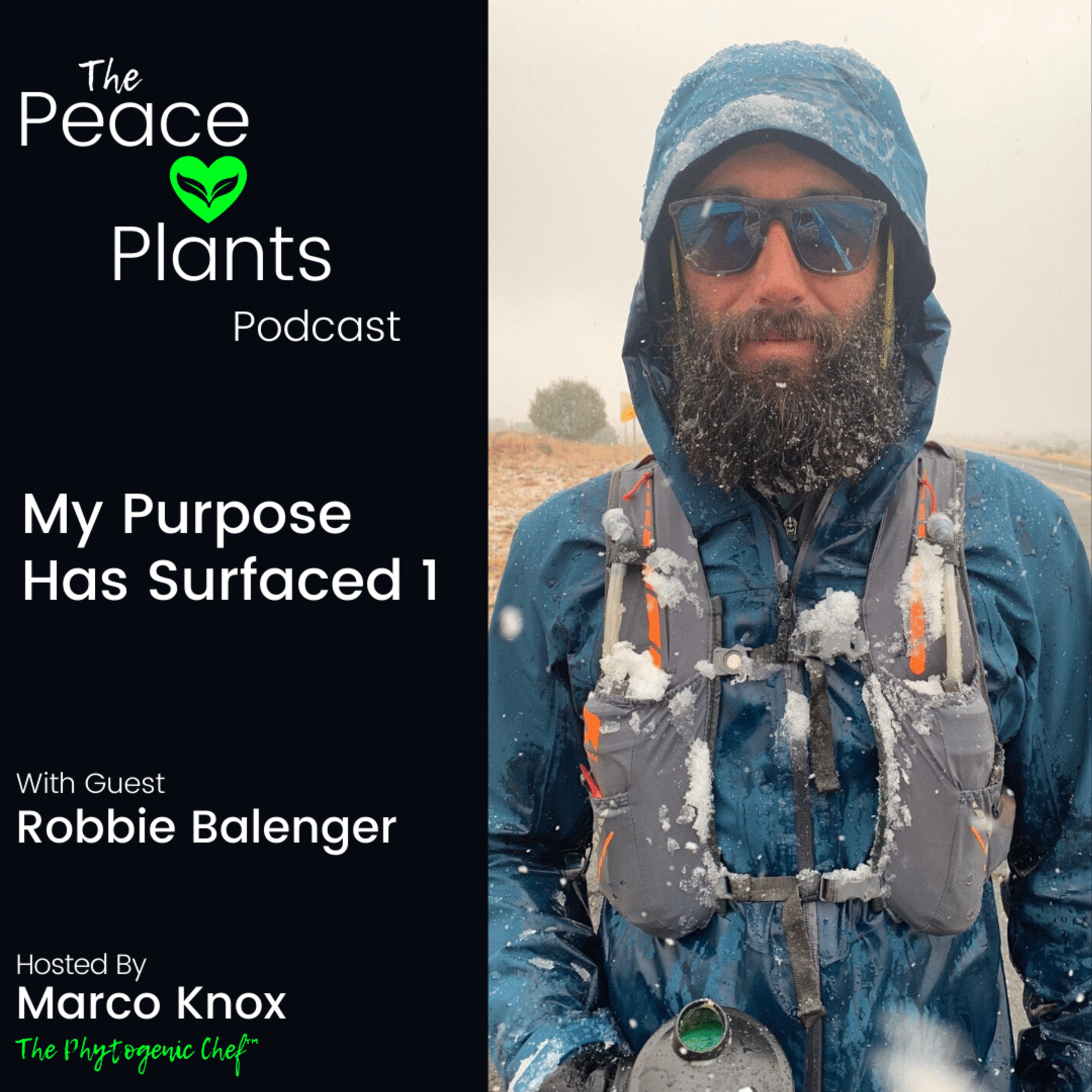 The Peace Love Plants Podcast