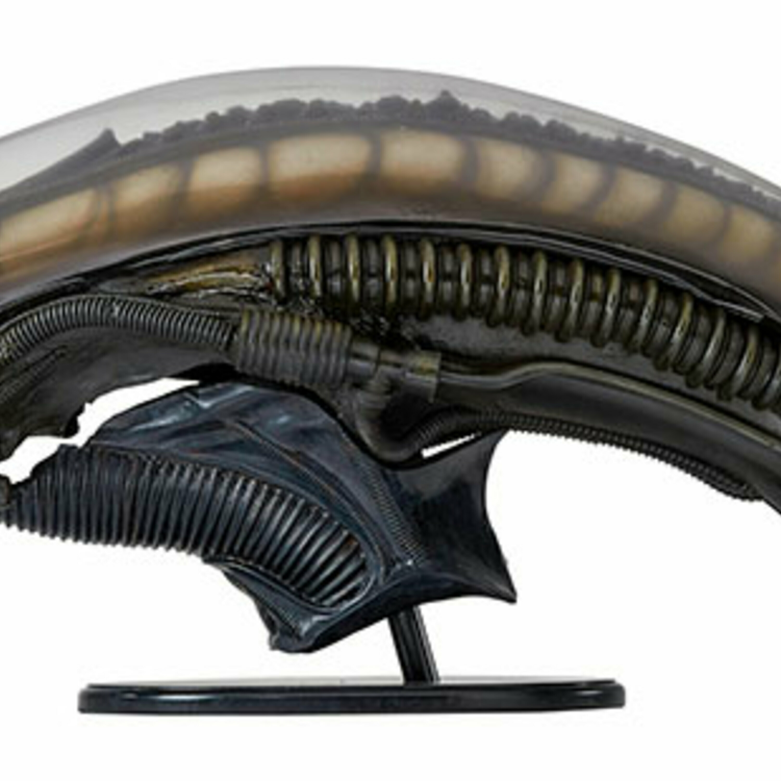 Episode 208: Alien Day 24, No Blizzcon, Movie News And More Skewedcast episode artwork