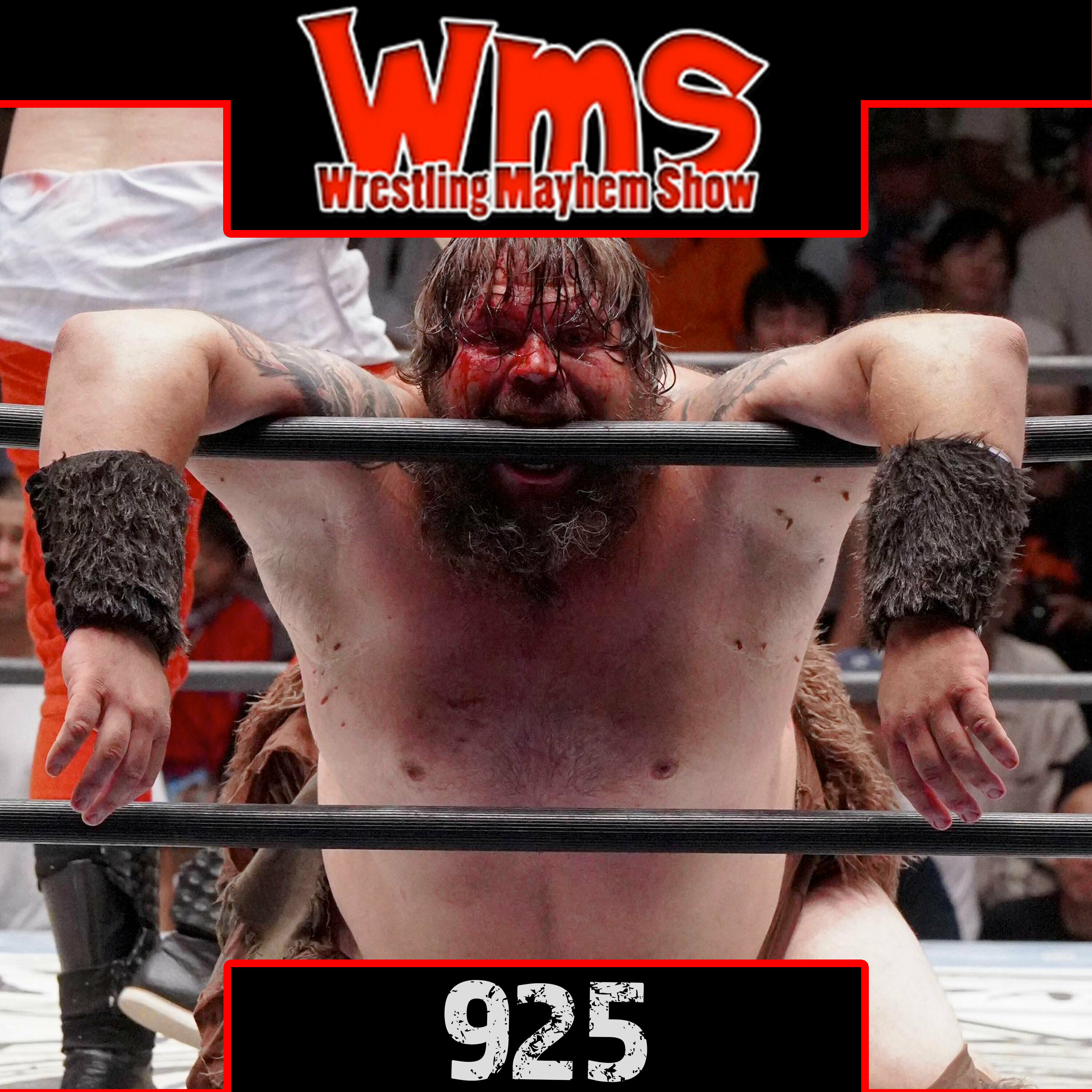 Wrestling Mayhem Show