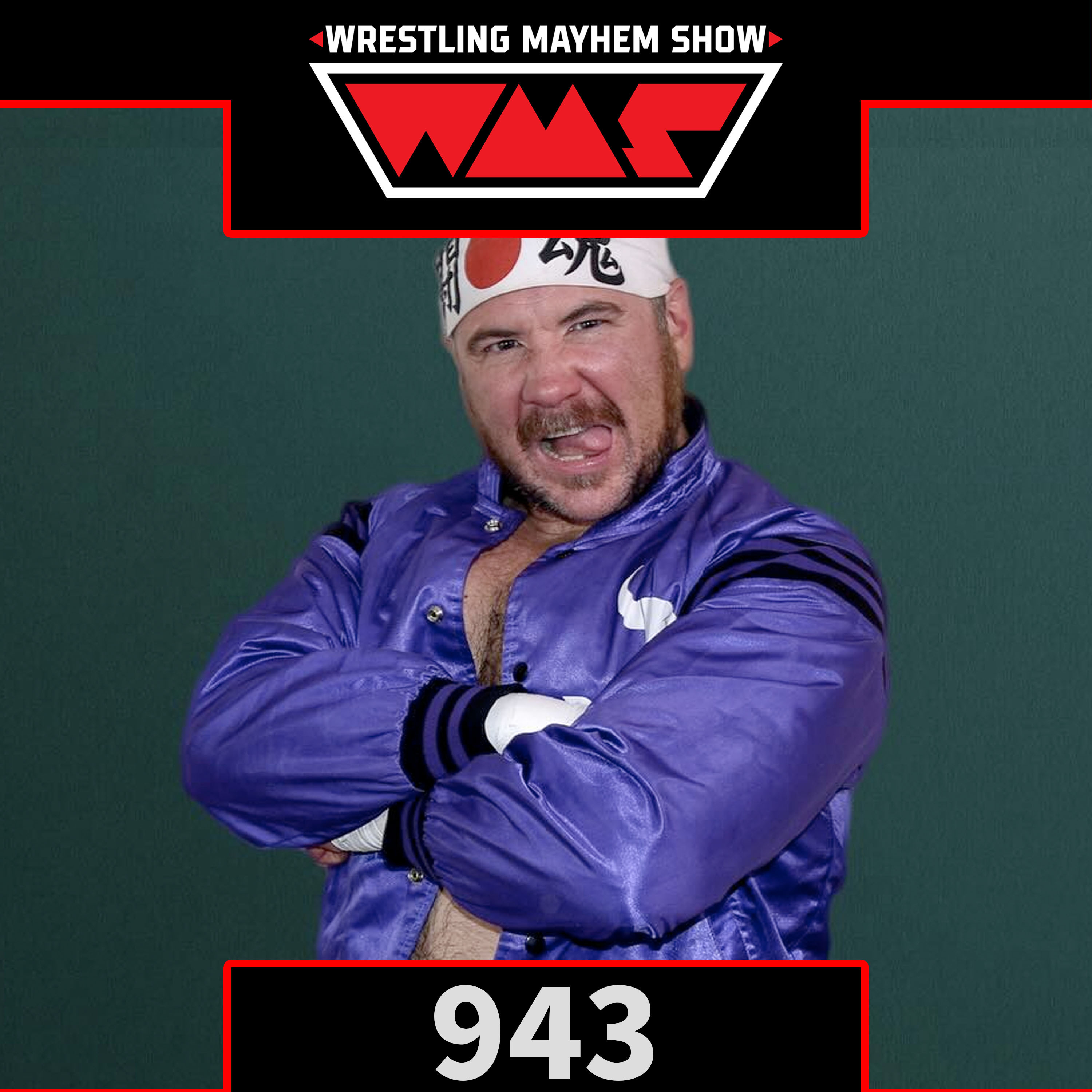 Wrestling Mayhem Show