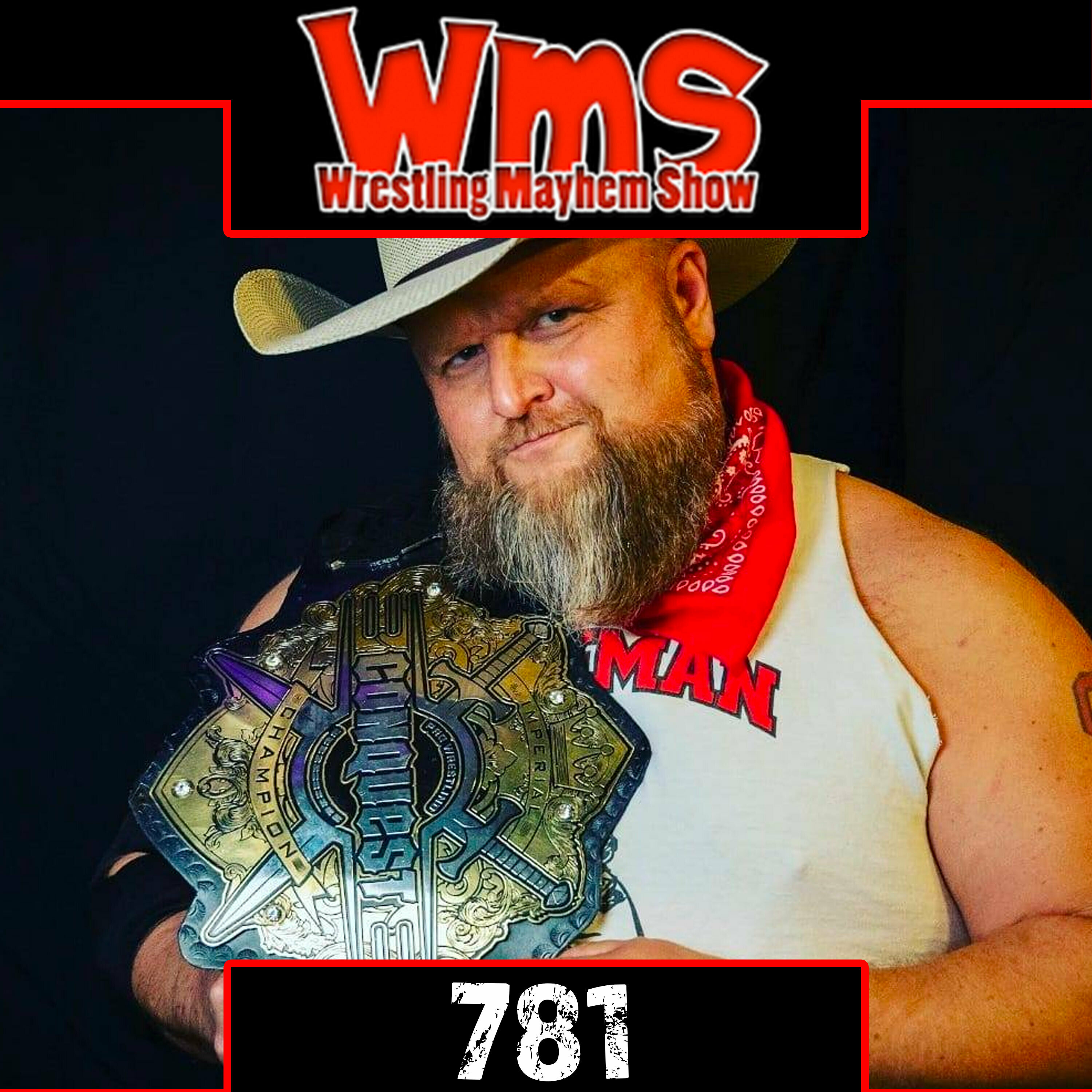 Wrestling Mayhem Show
