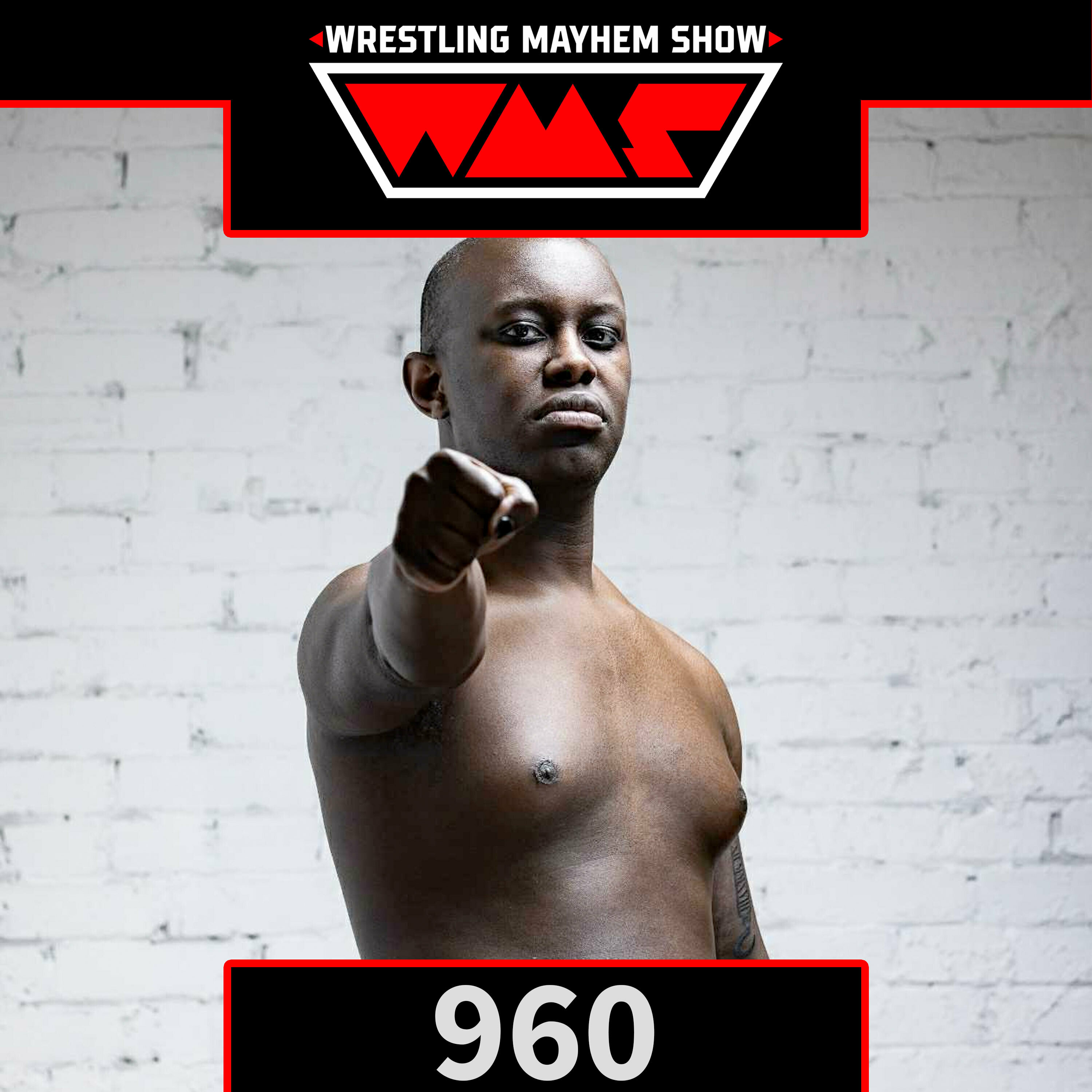 Wrestling Mayhem Show