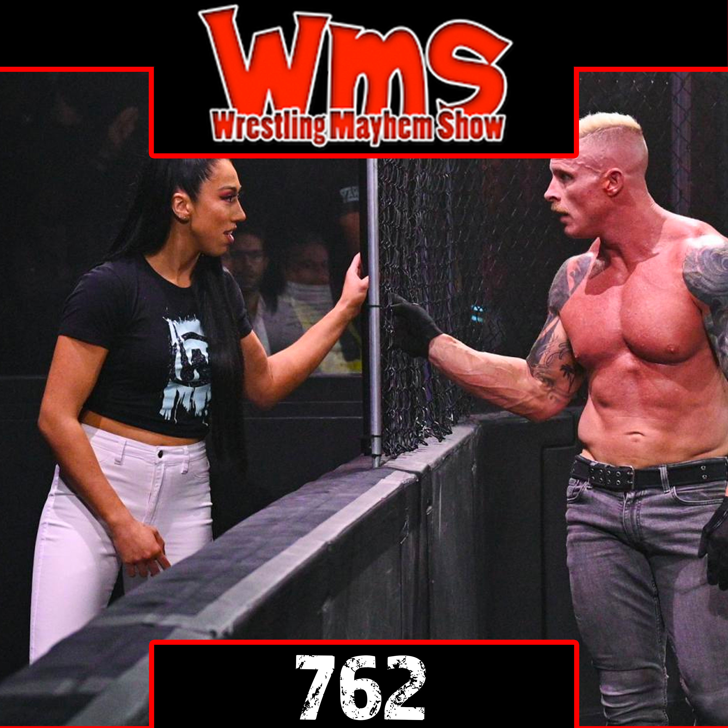 Wrestling Mayhem Show