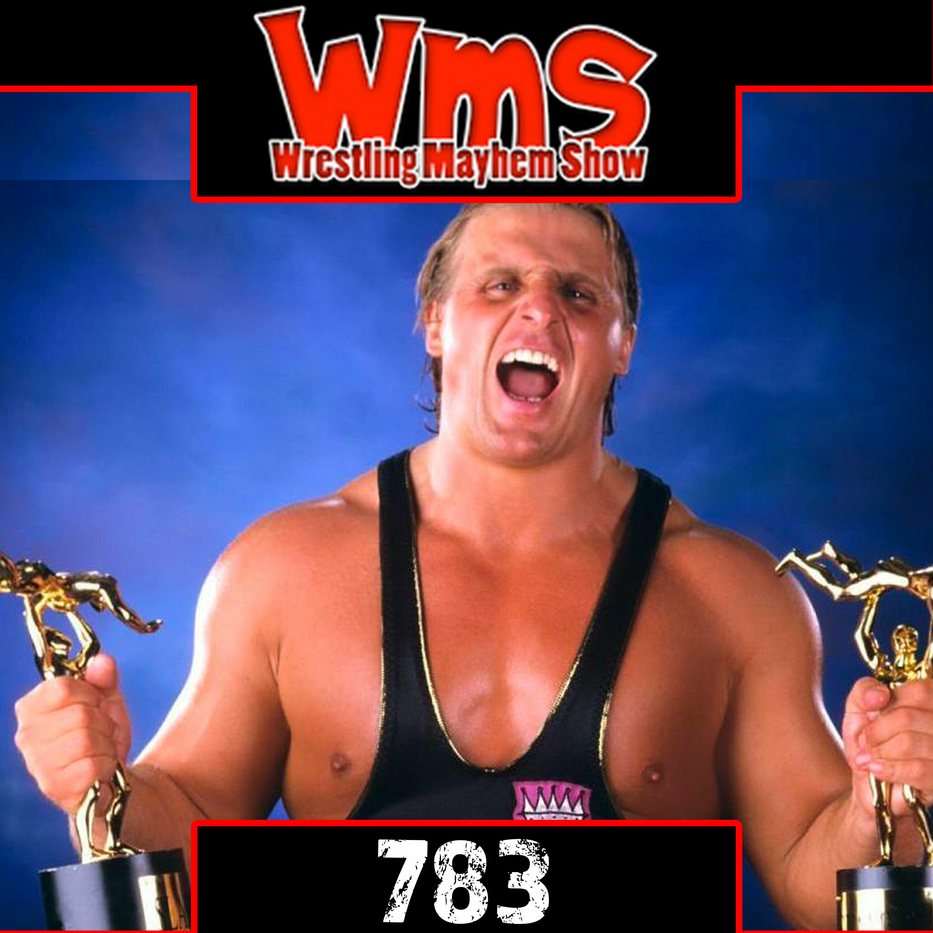 Wrestling Mayhem Show