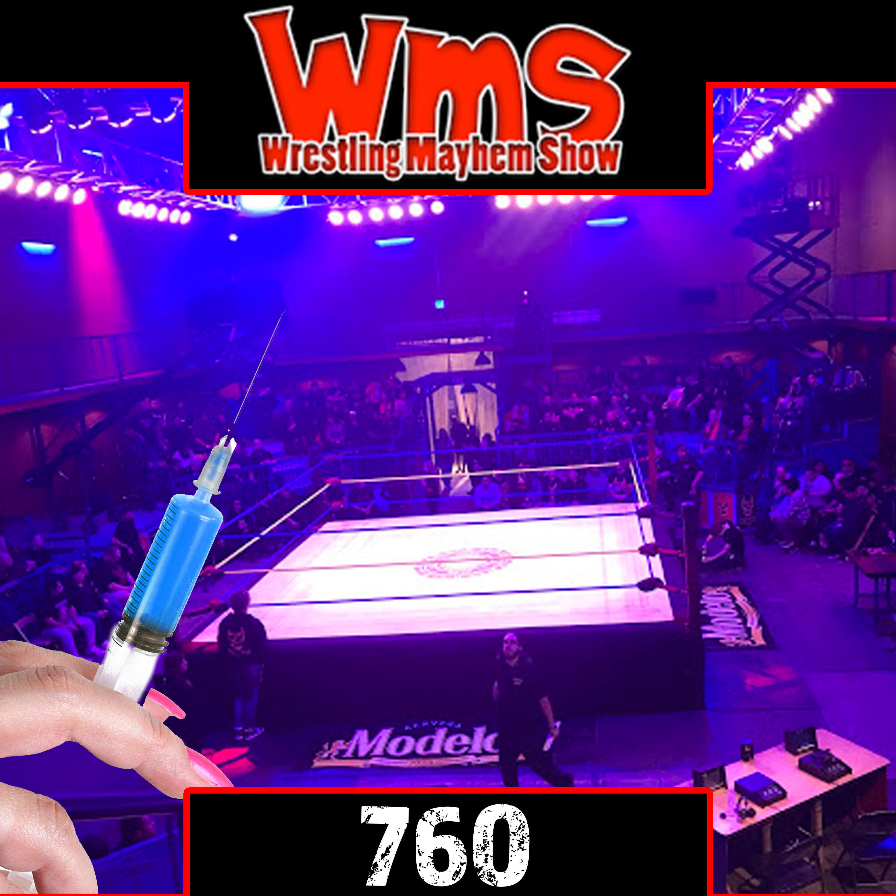 Wrestling Mayhem Show