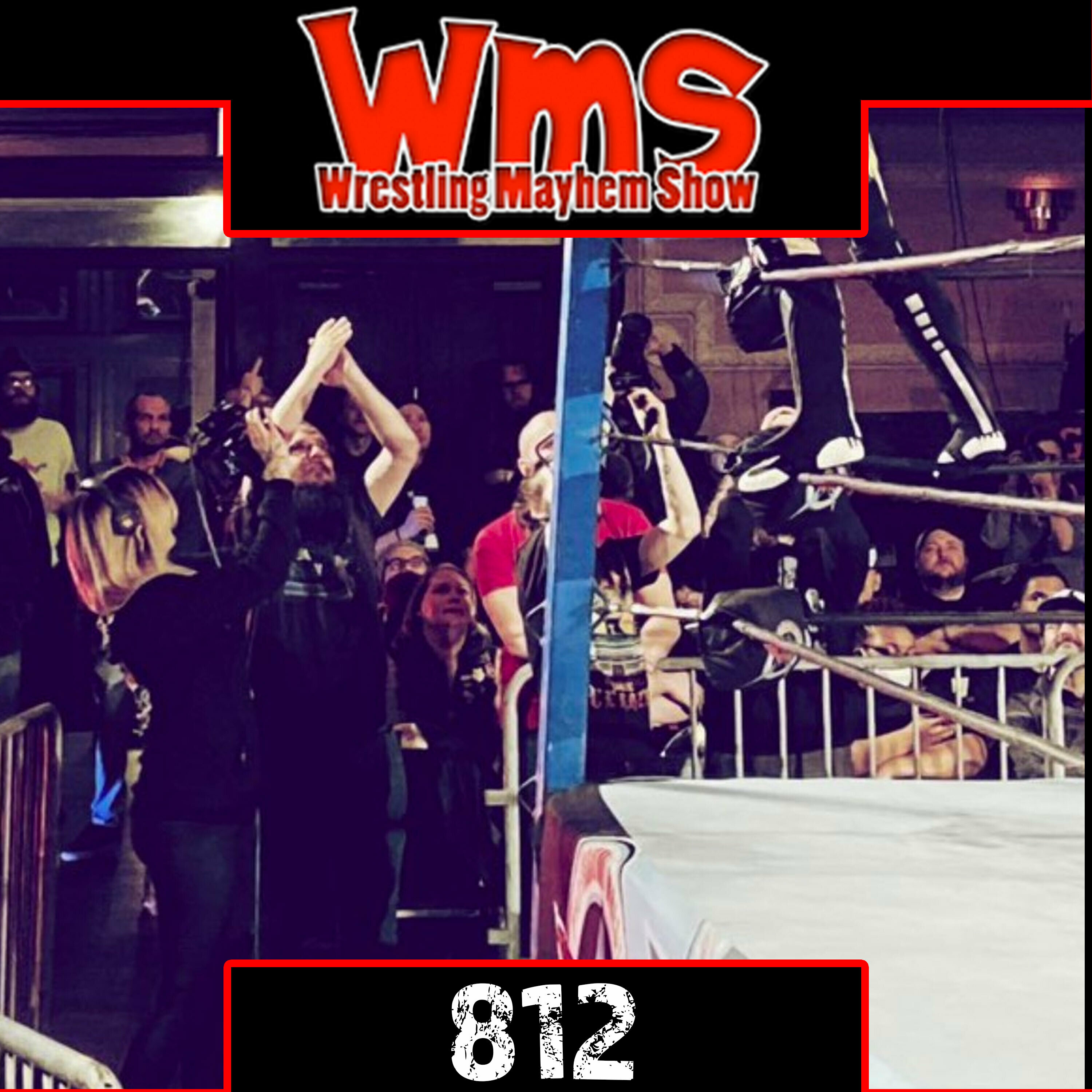 Wrestling Mayhem Show