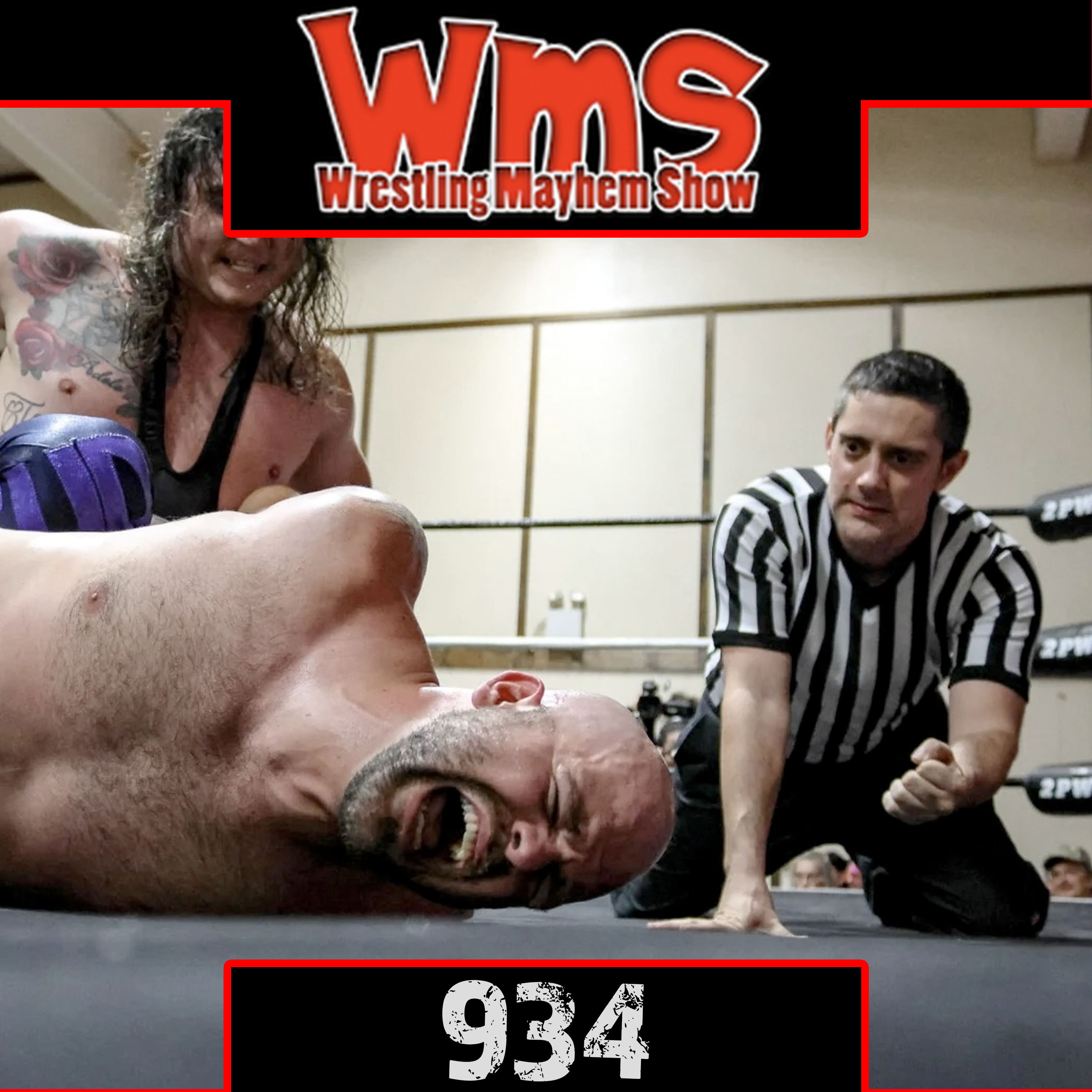 Wrestling Mayhem Show