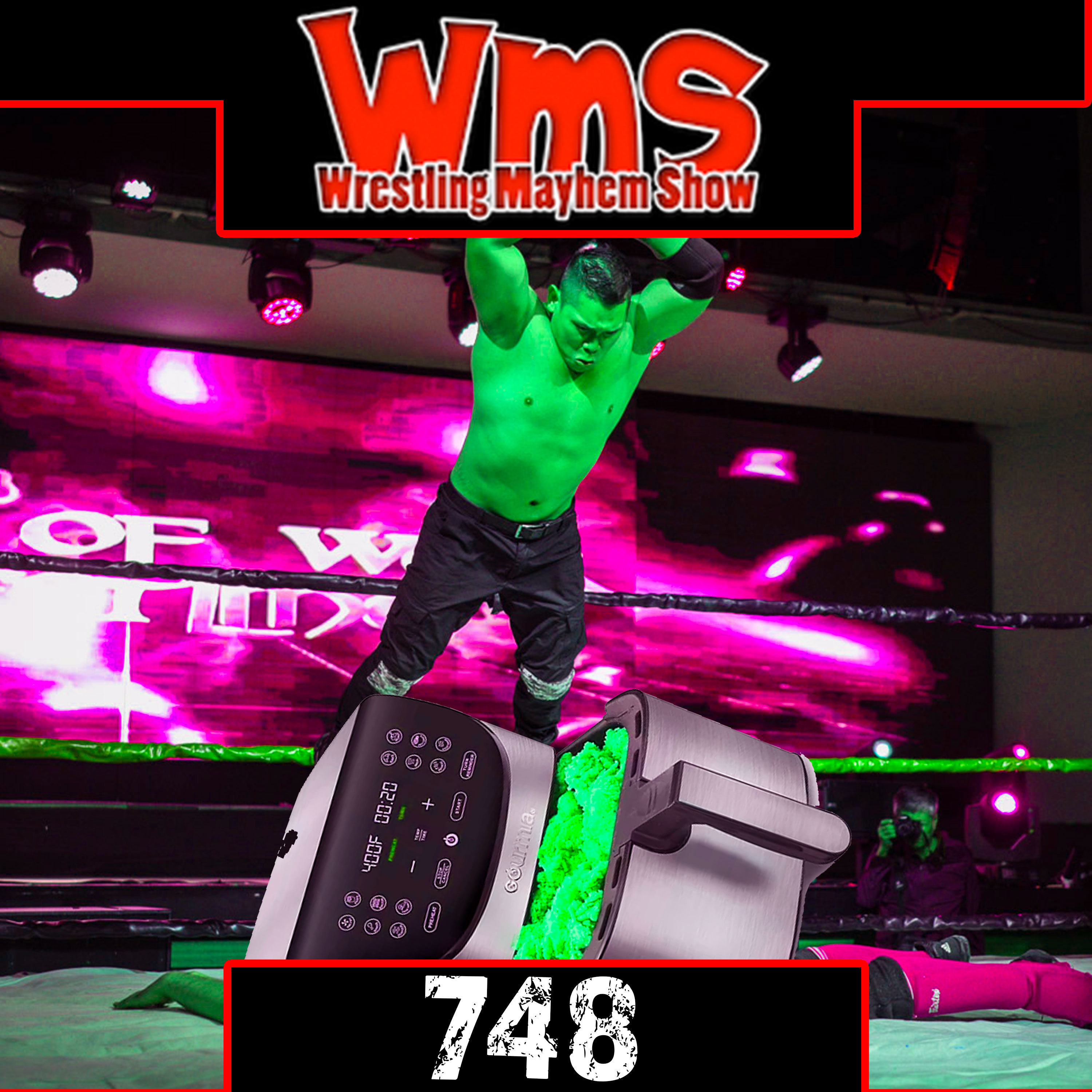 Wrestling Mayhem Show