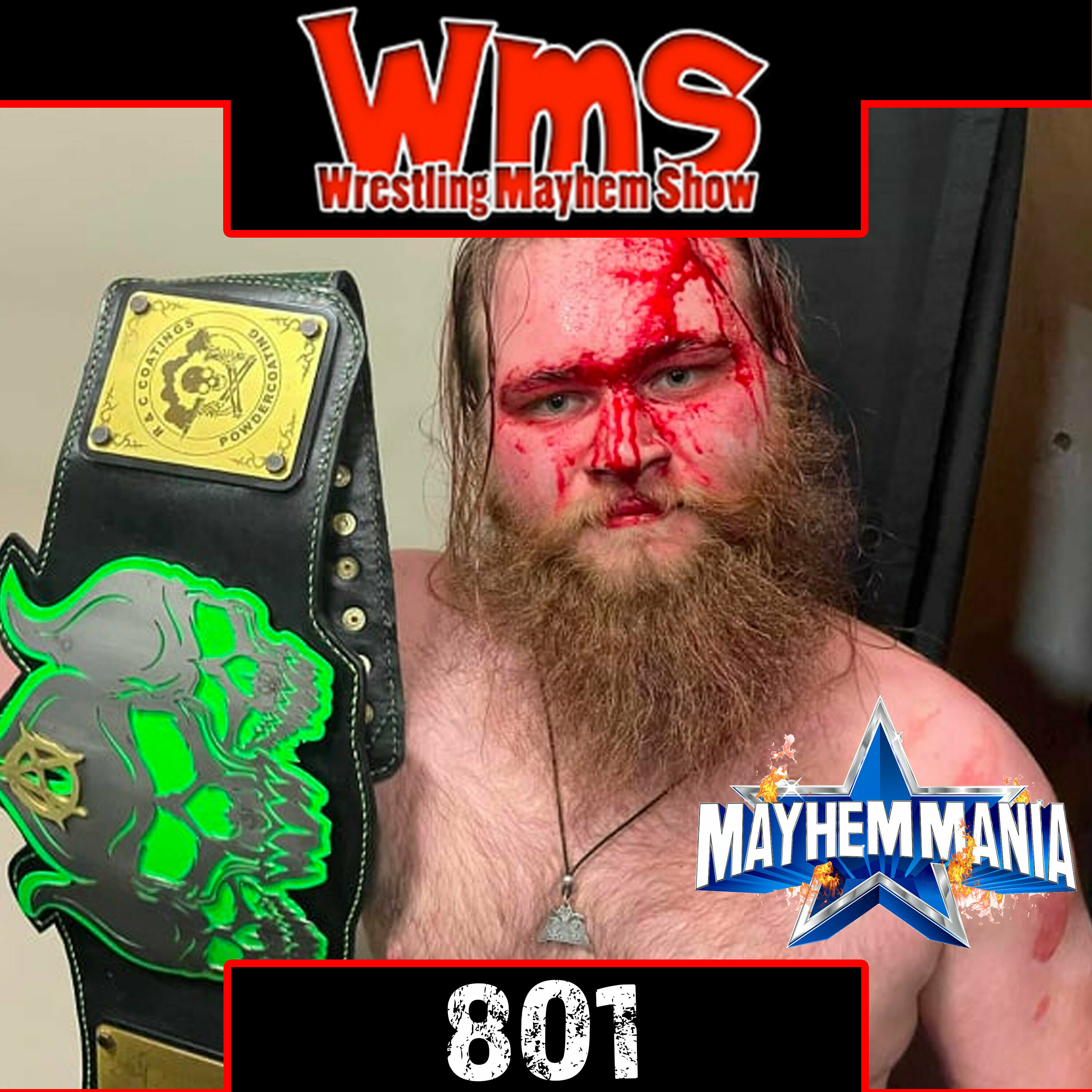 Wrestling Mayhem Show