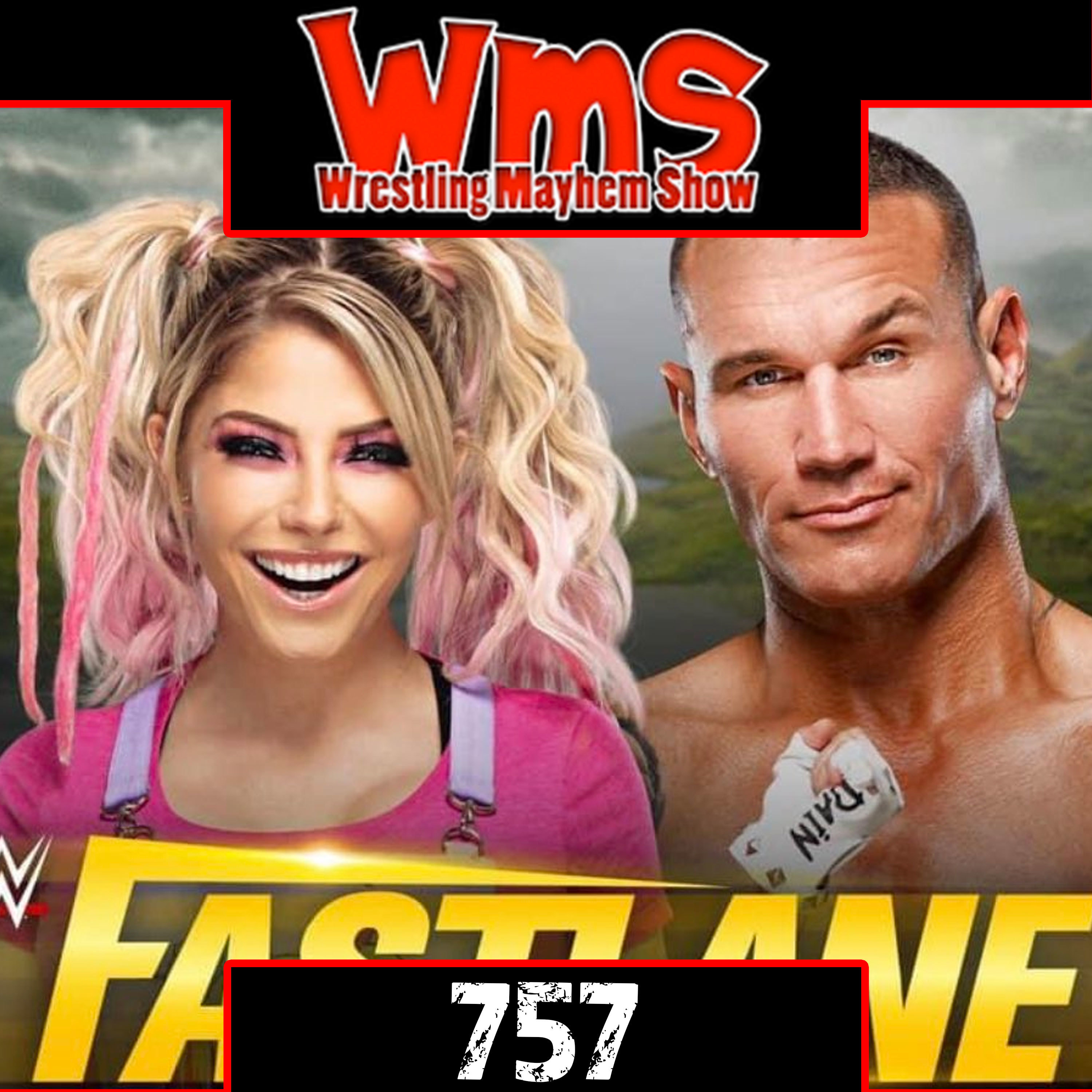 Wrestling Mayhem Show