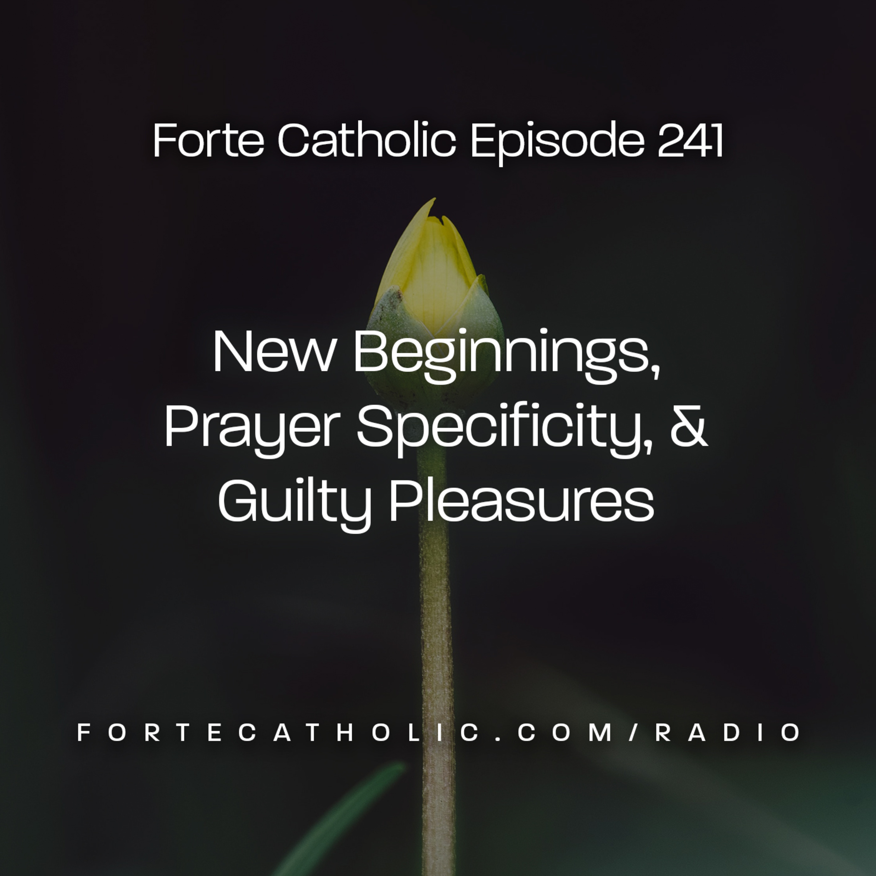 Forte Catholic
