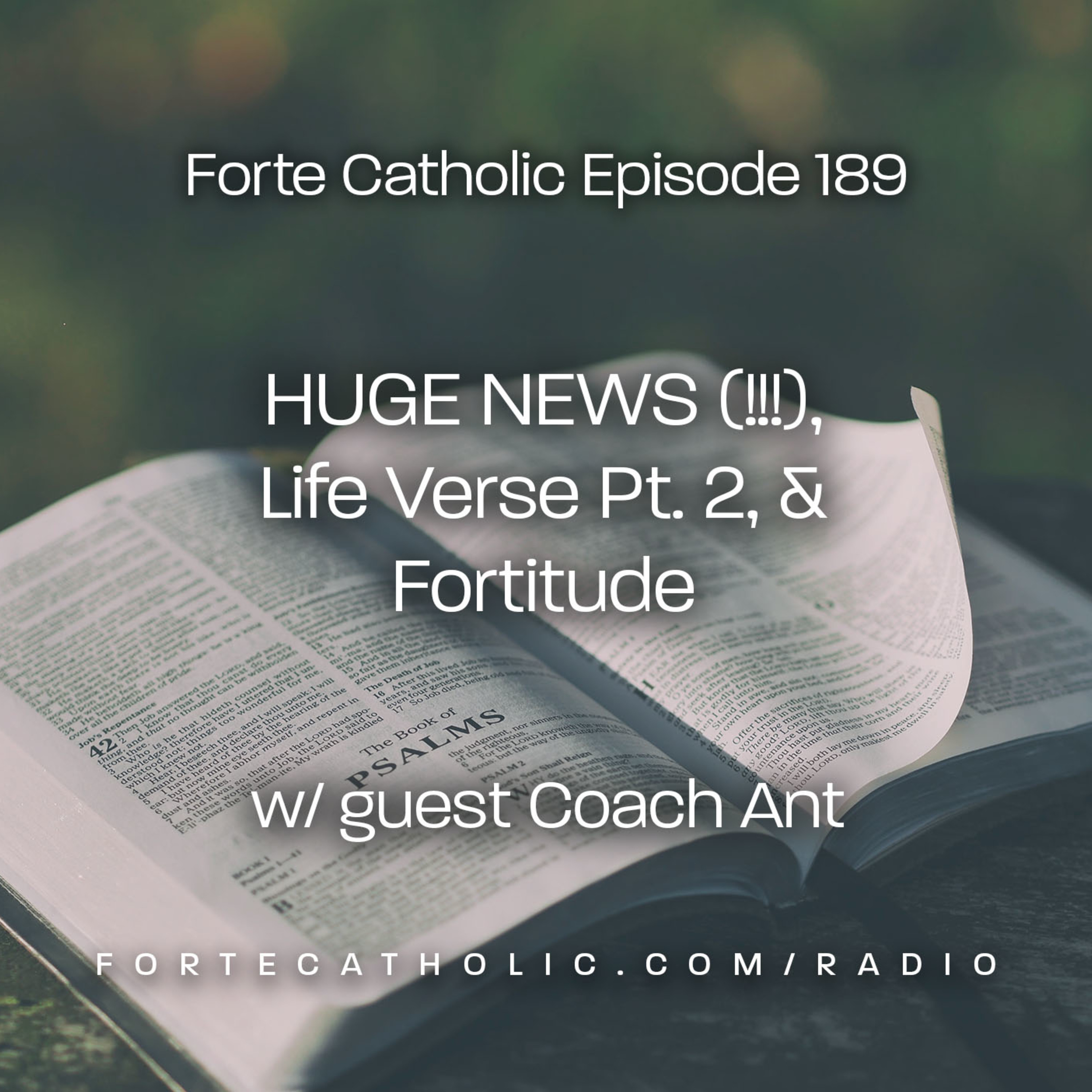 Forte Catholic