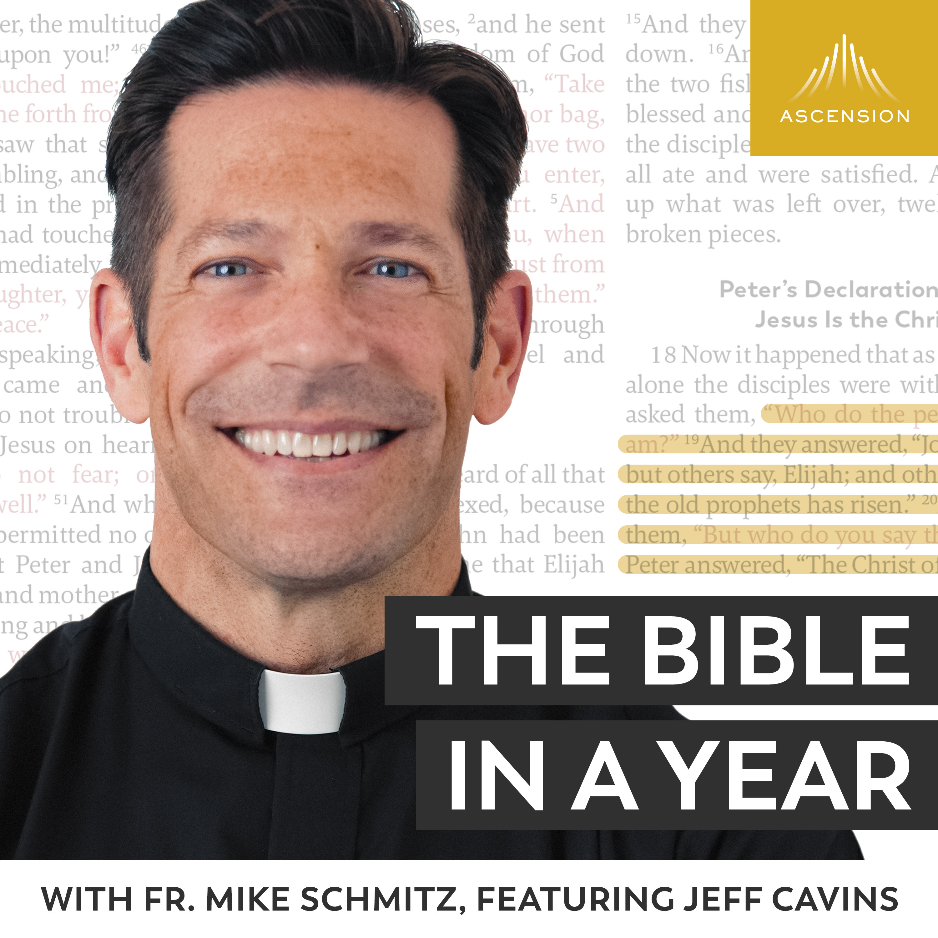 Day 112: True Friendship (2024) — The Bible in a Year (with Fr. Mike Schmitz) cover