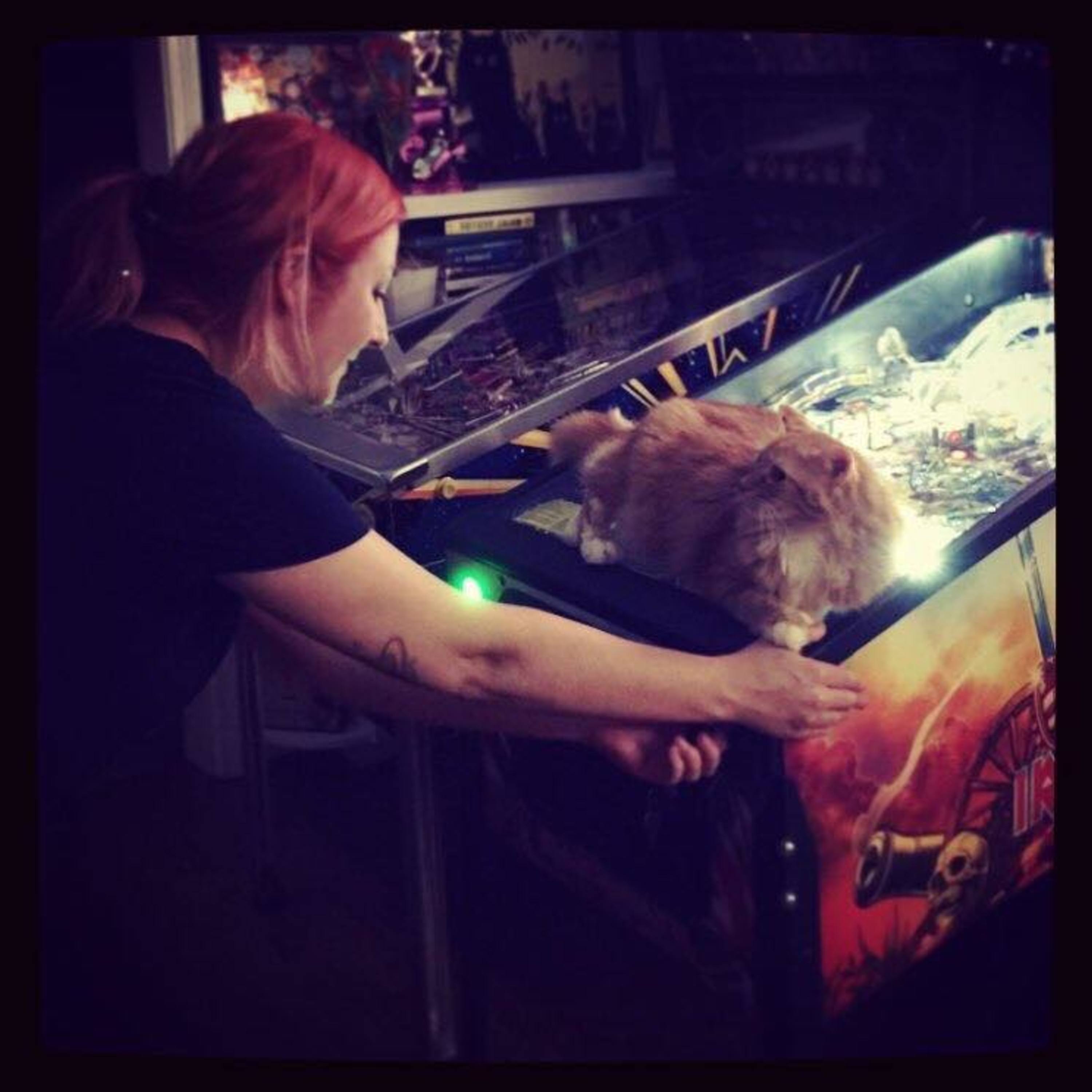 Backbox Pinball Podcast