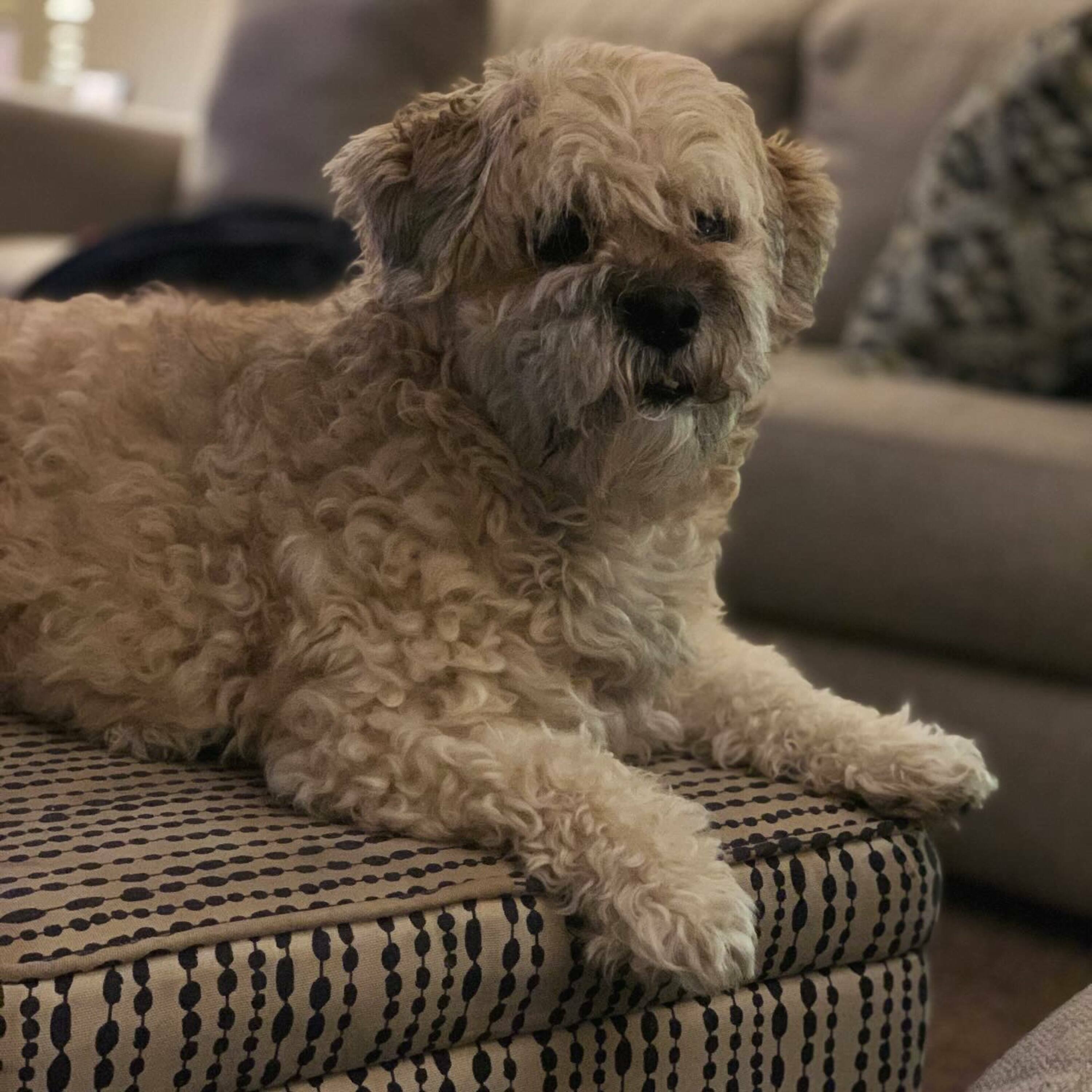 Our Grumpy Ole Barney and His Good Long Life