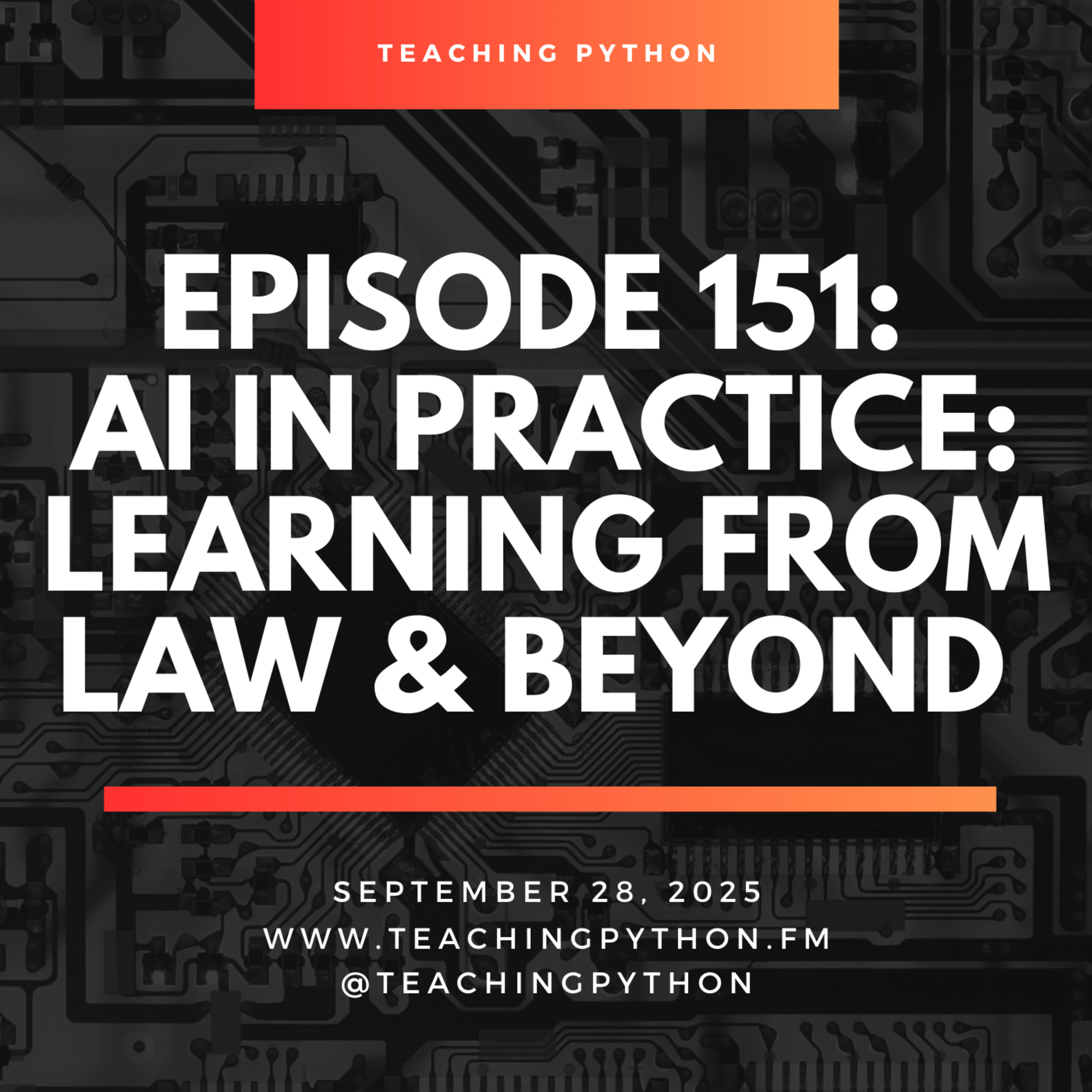 Episode 151: AI in Practice: Learning from Law & Beyond with Pritesh Patel