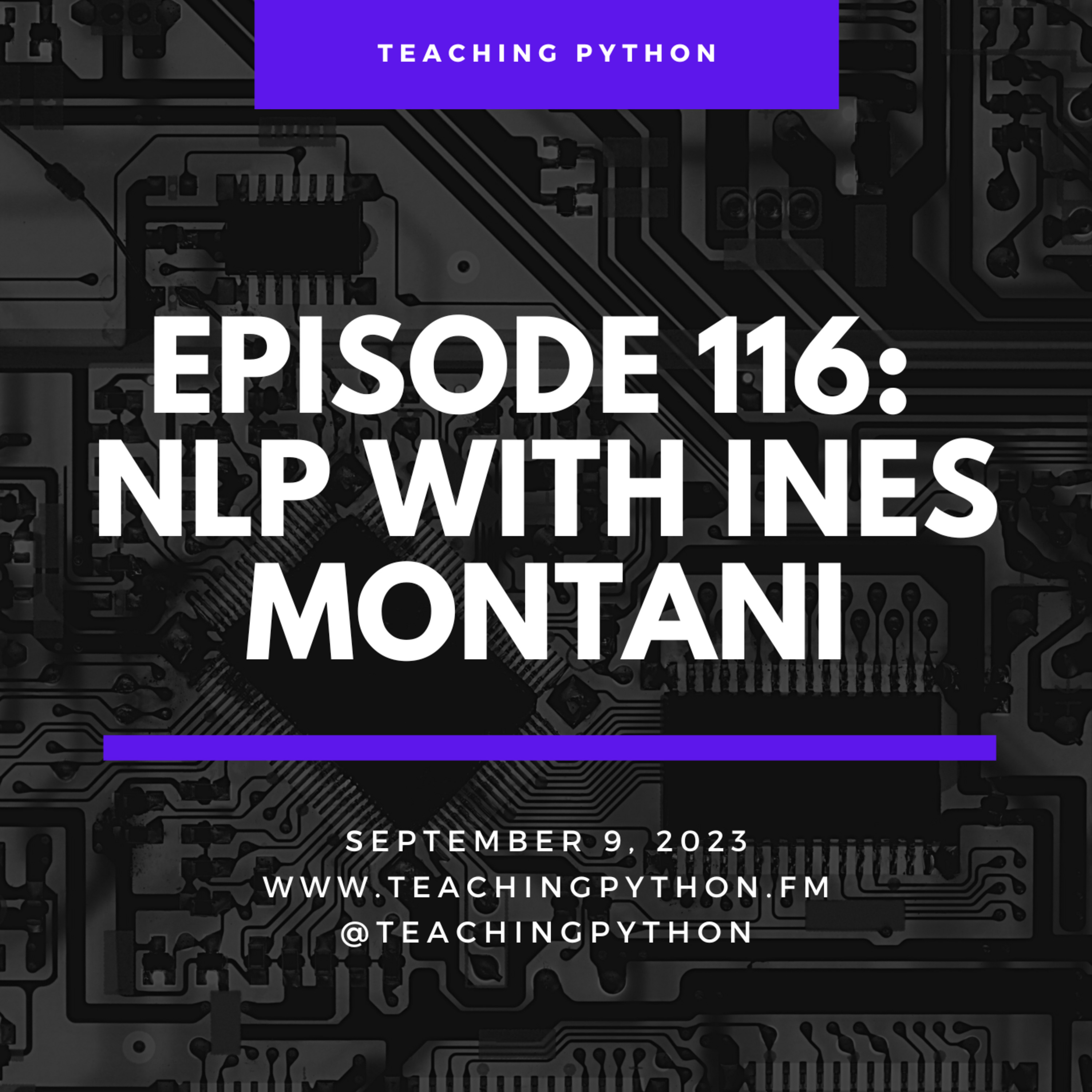 Episode 116: NLP with Ines Montani - podcast episode cover