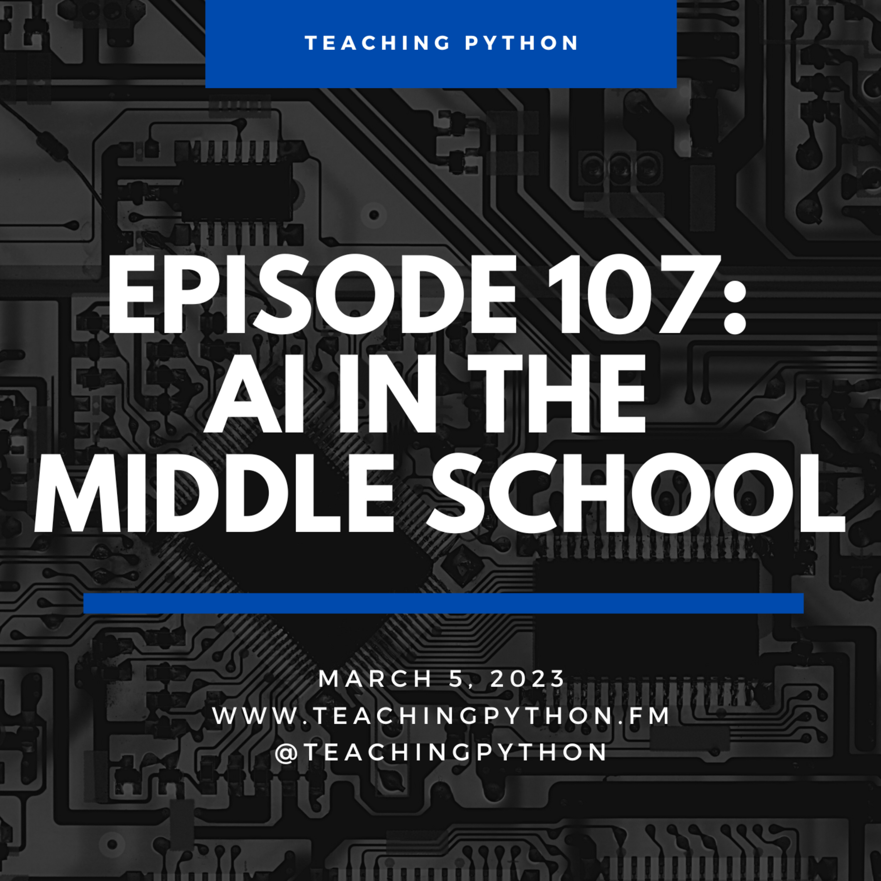 Episode 107: AI In The Middle School with Dr. Nisha Talagala - podcast episode cover