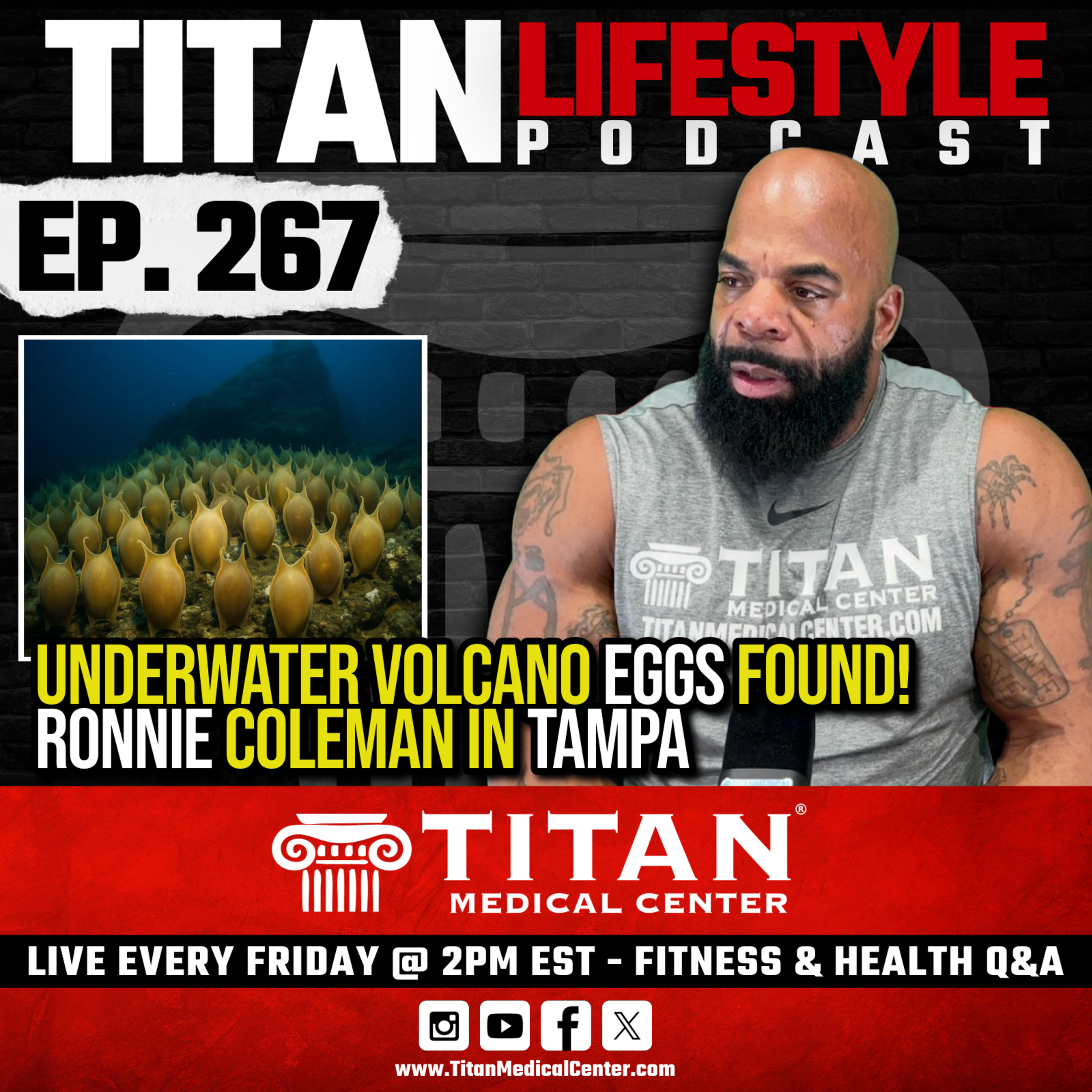 Titan Medical Lifestyle