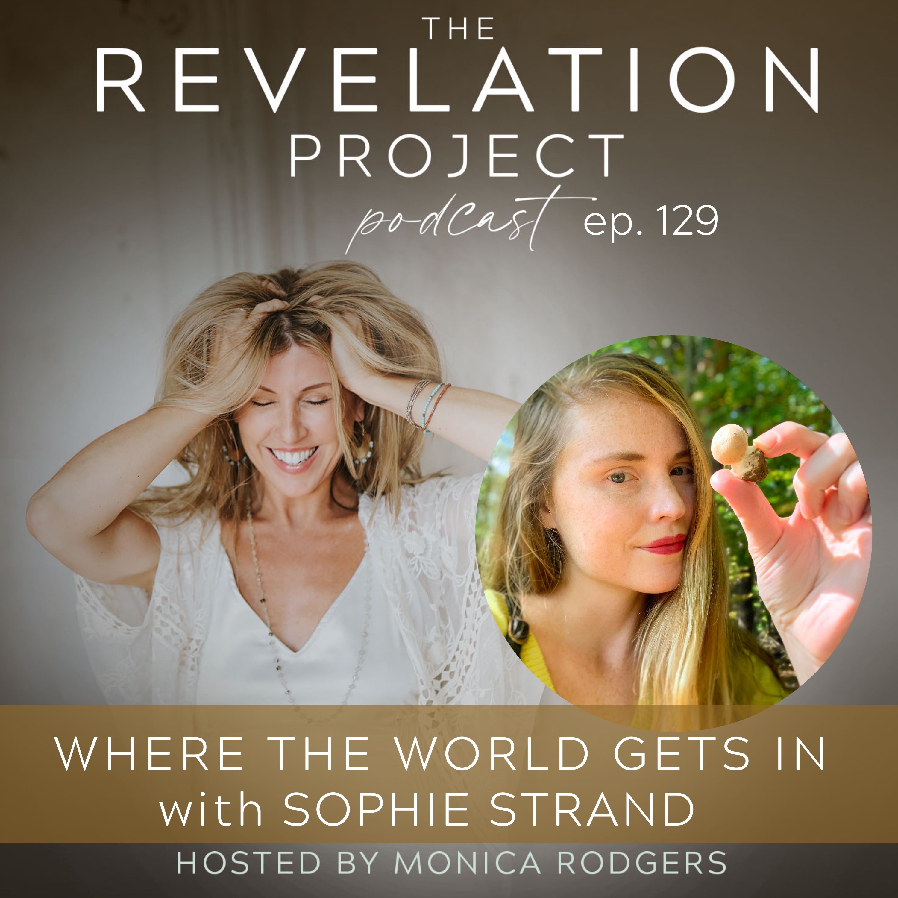 The Revelation Project