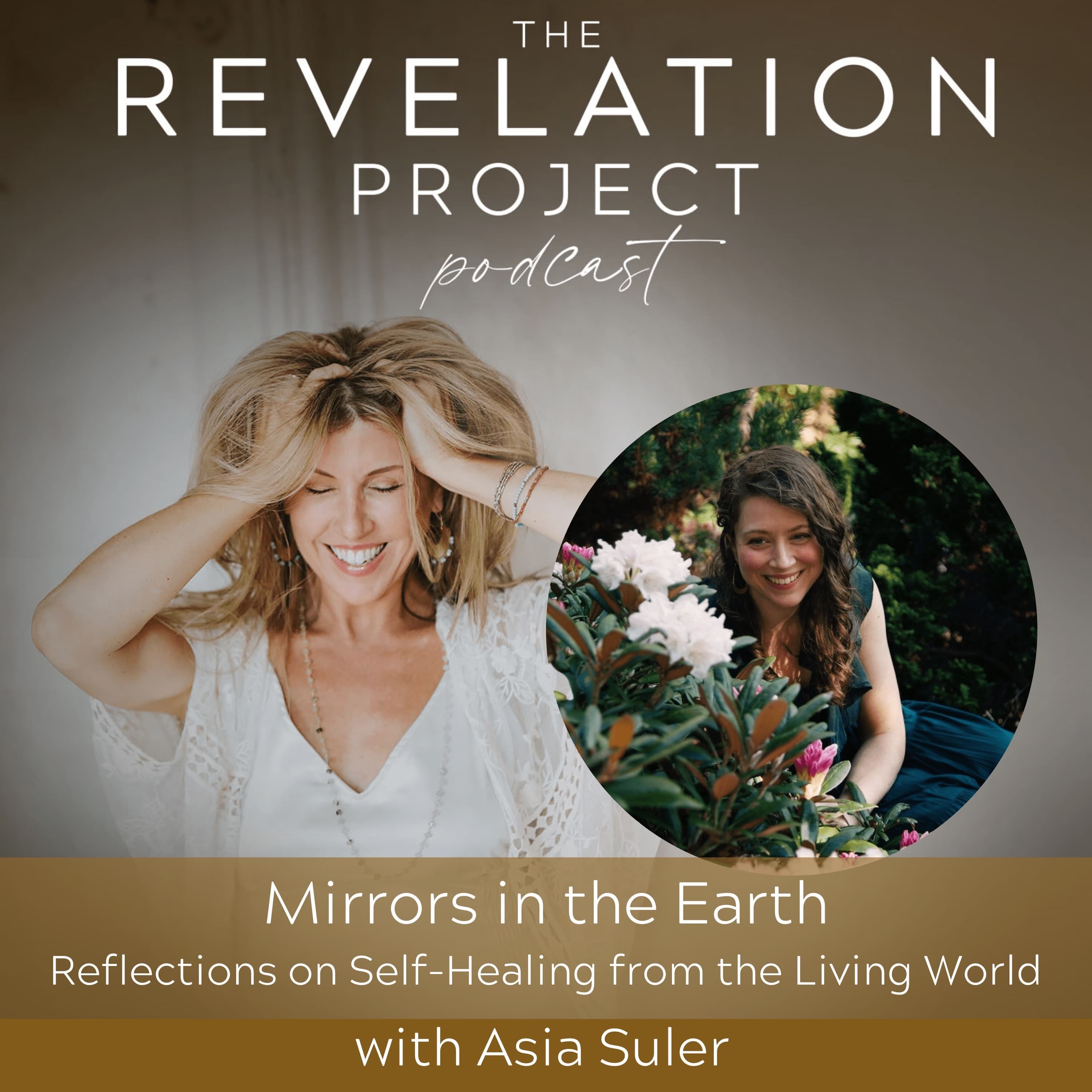 The Revelation Project