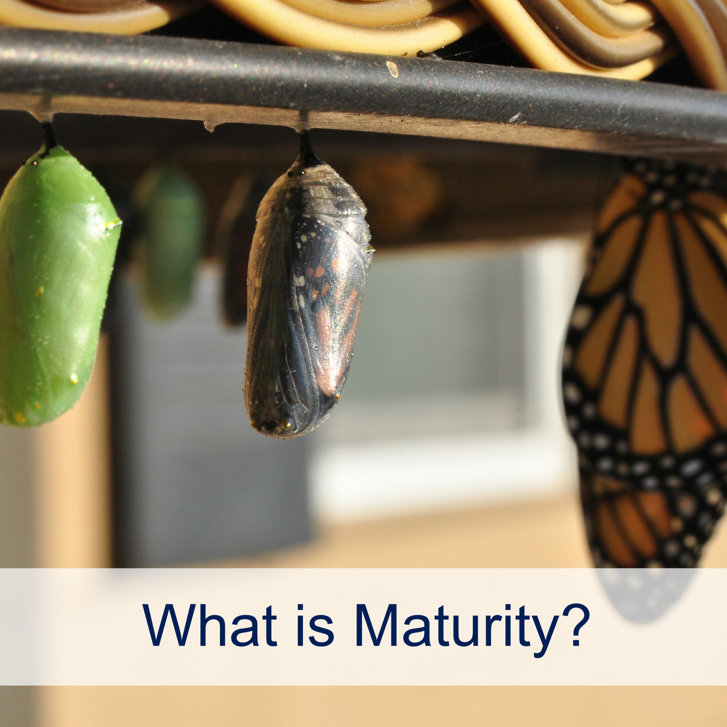 What is Maturity? (Ep 91)