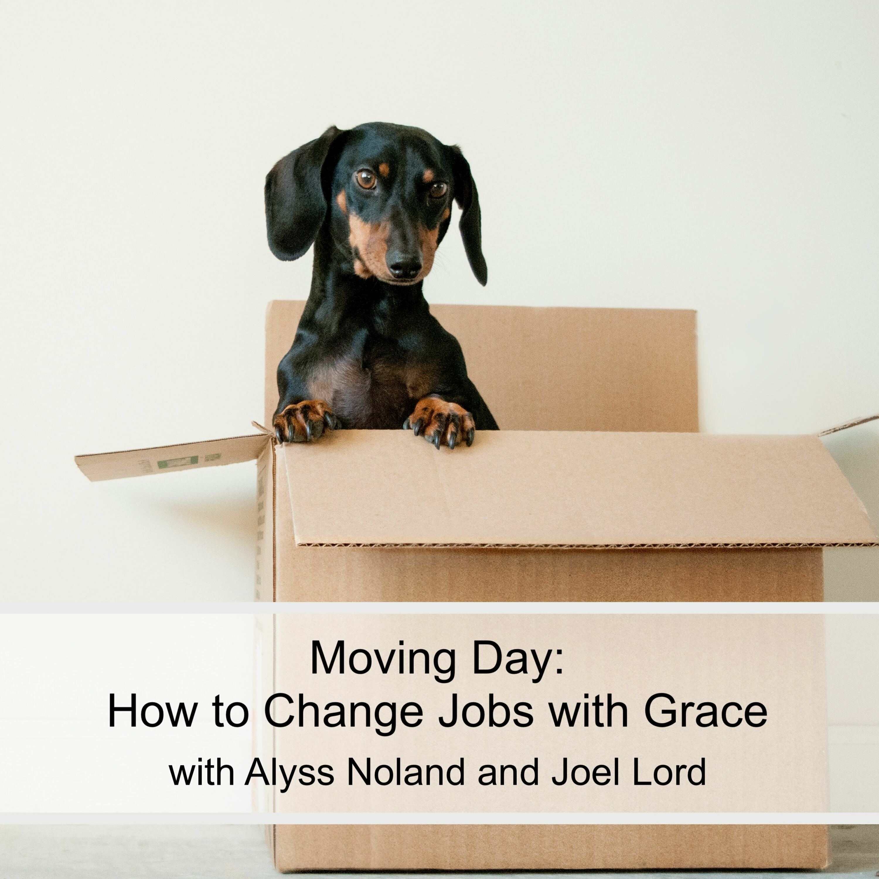 Moving Day: how to change jobs with grace (Ep 39)