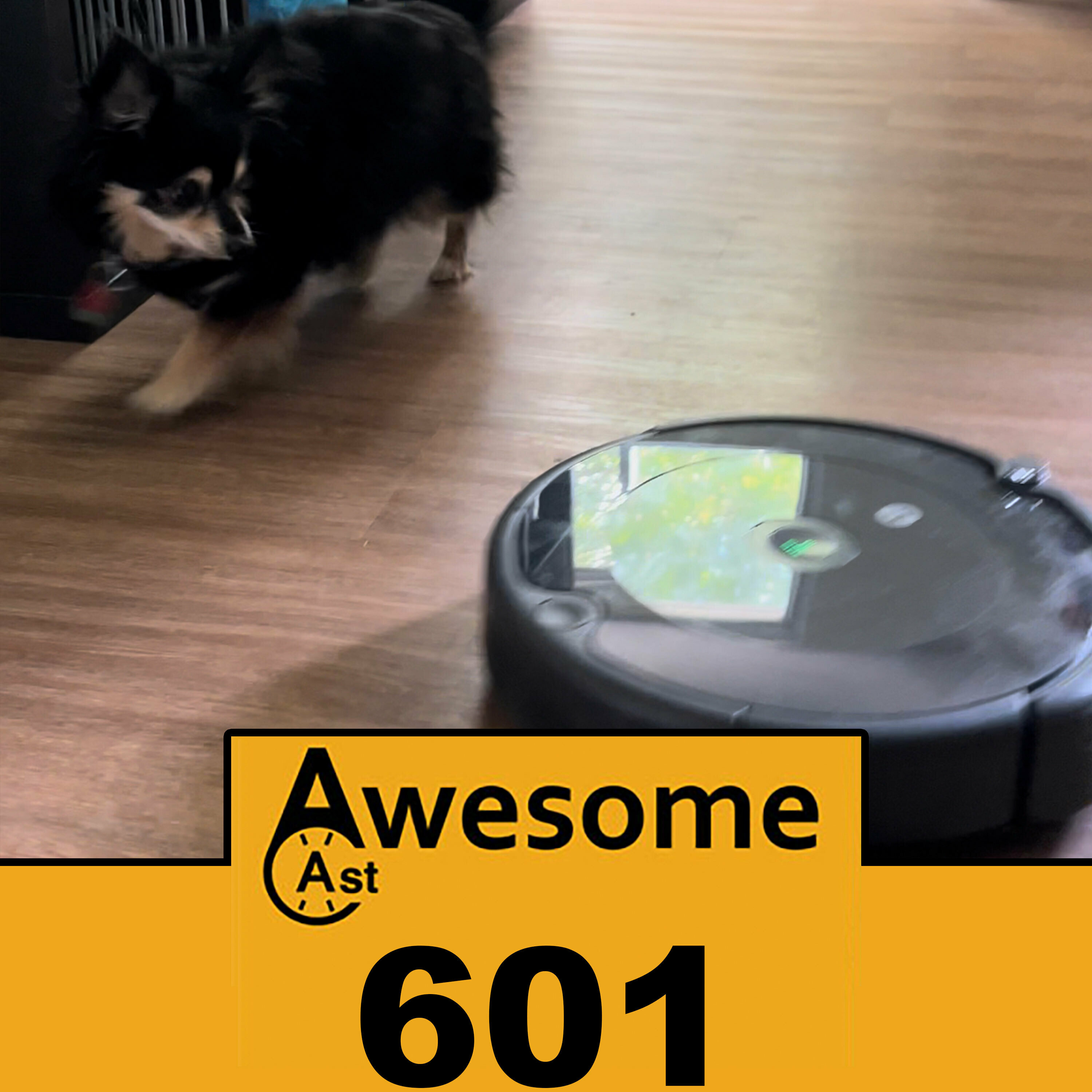 Sorgatron Media Master Feed