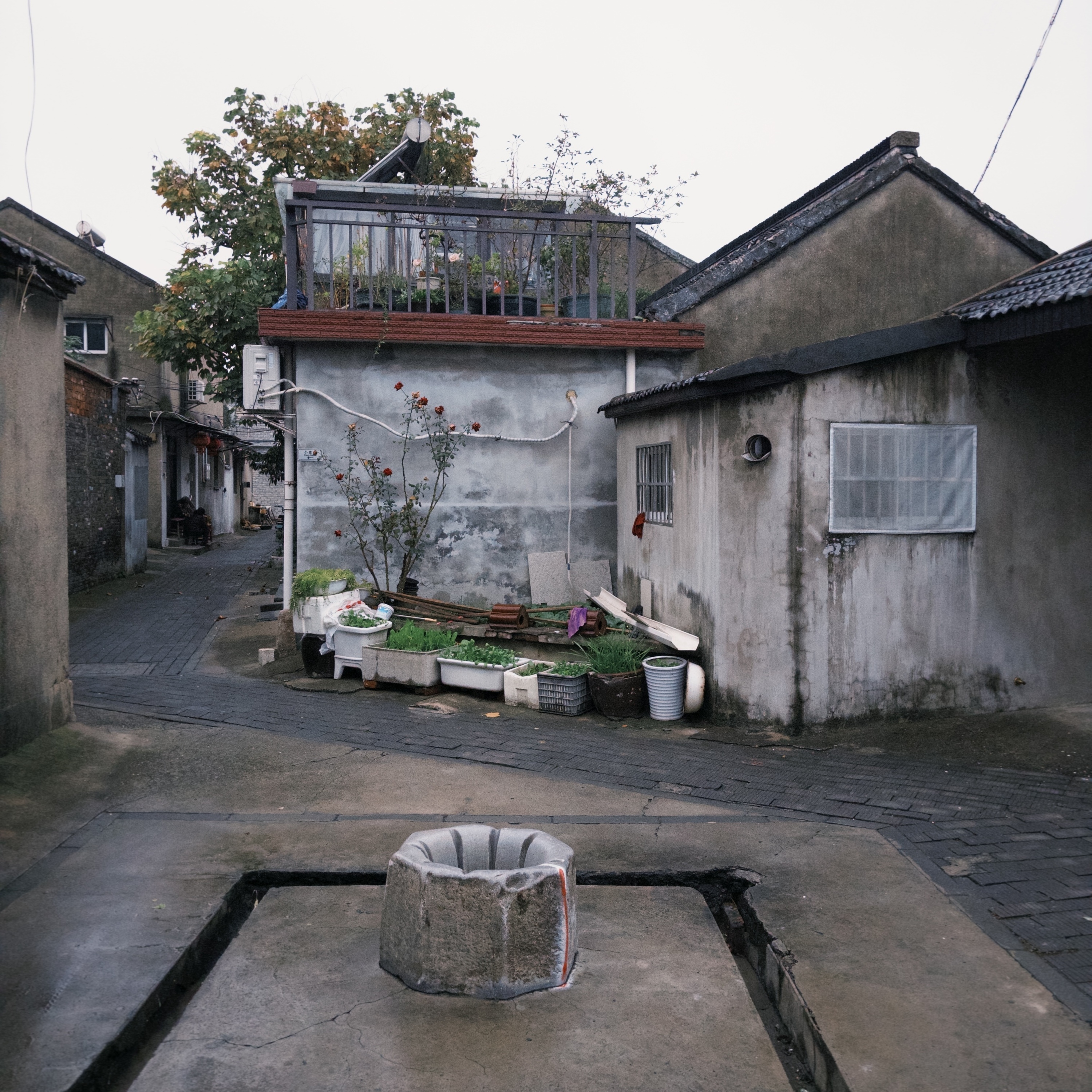 60: Flaneur | 扬州漫谈：一方水土，一方天地