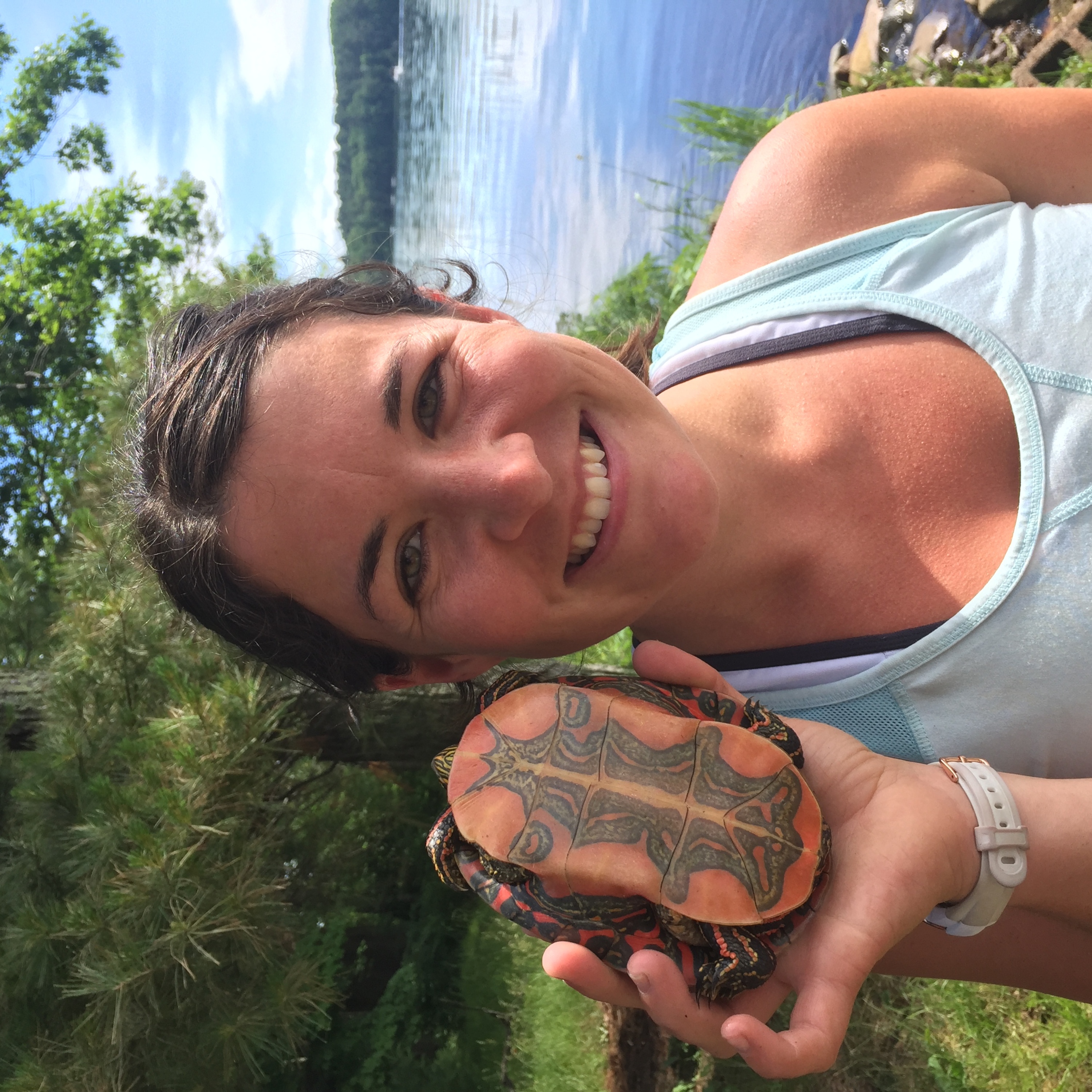 The Curious Case of the Painted Turtle with Beth Reinke - podcast episode cover