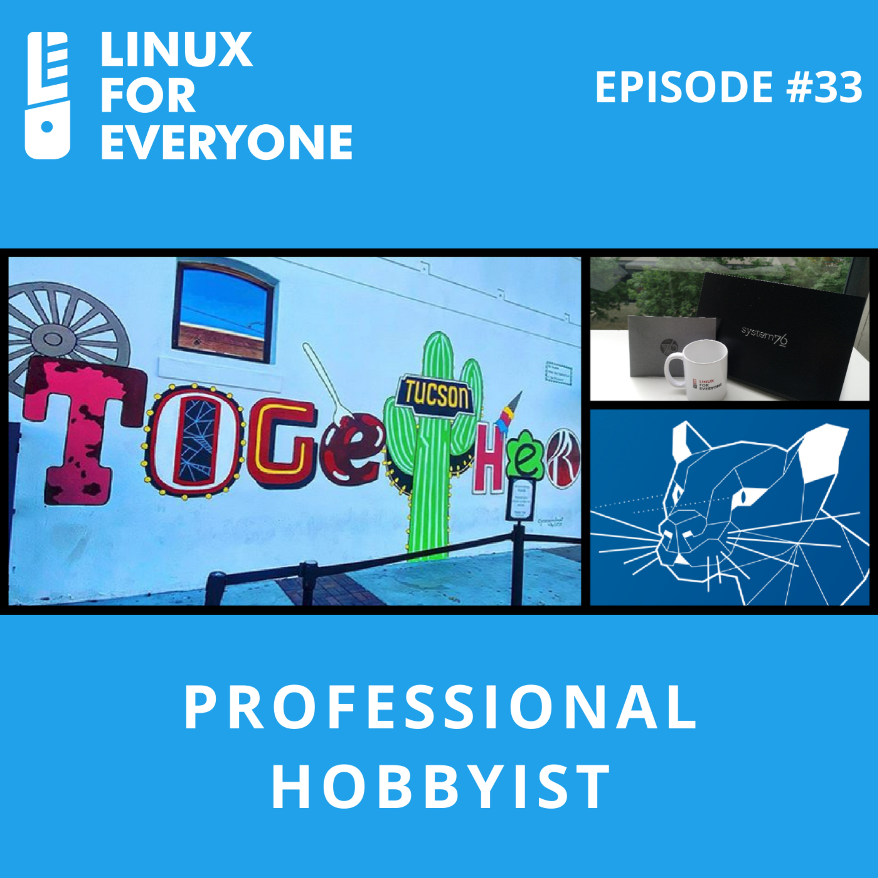 Episode 33: Professional Hobbyist