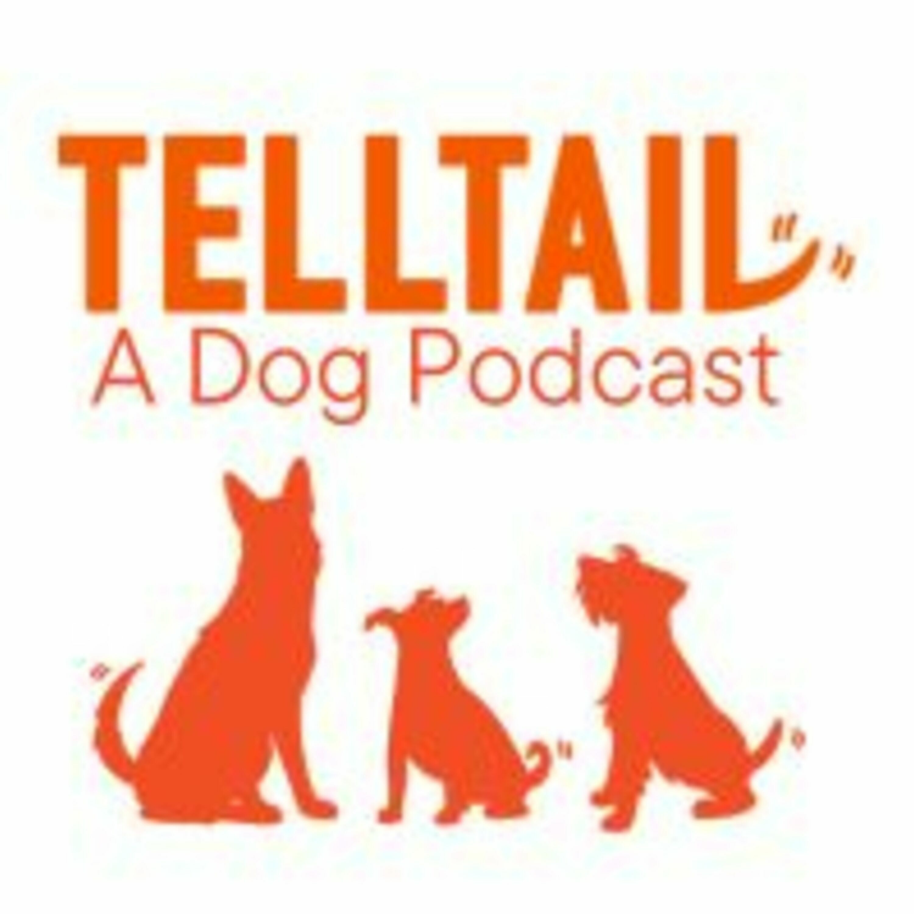 Podcast: Canine Enrichment