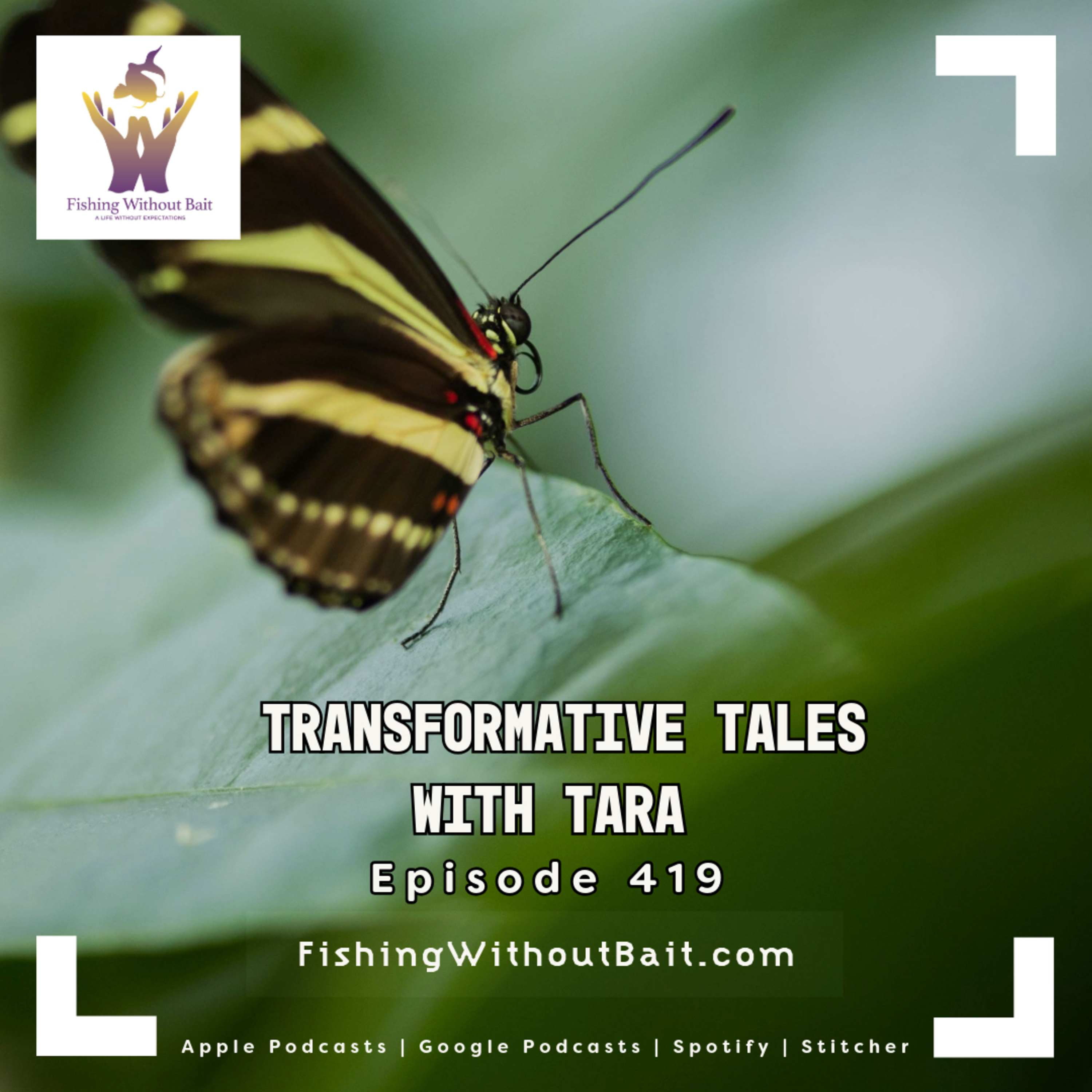 Transformative Tales with Tara | Episode 419