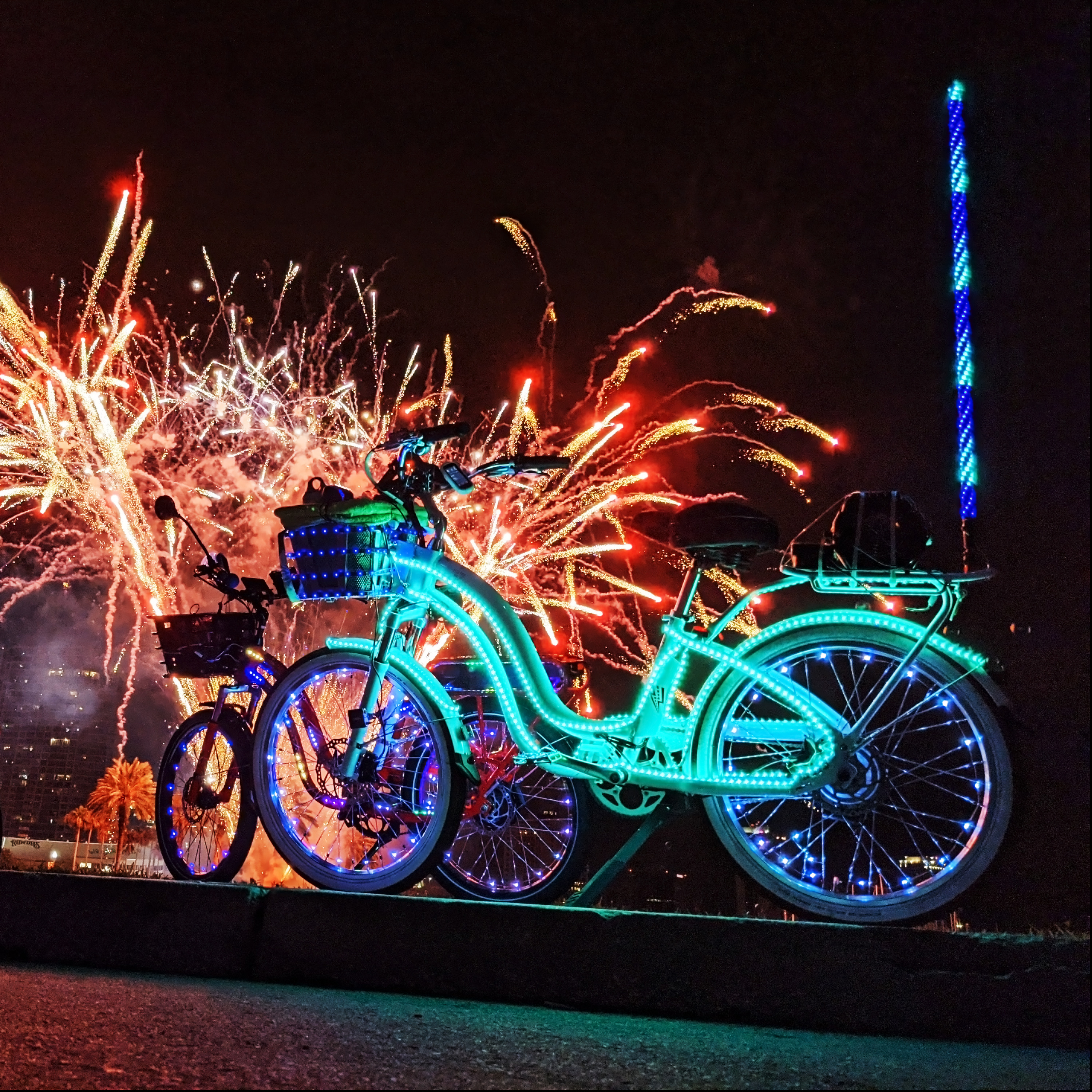 Electric Bike Radio